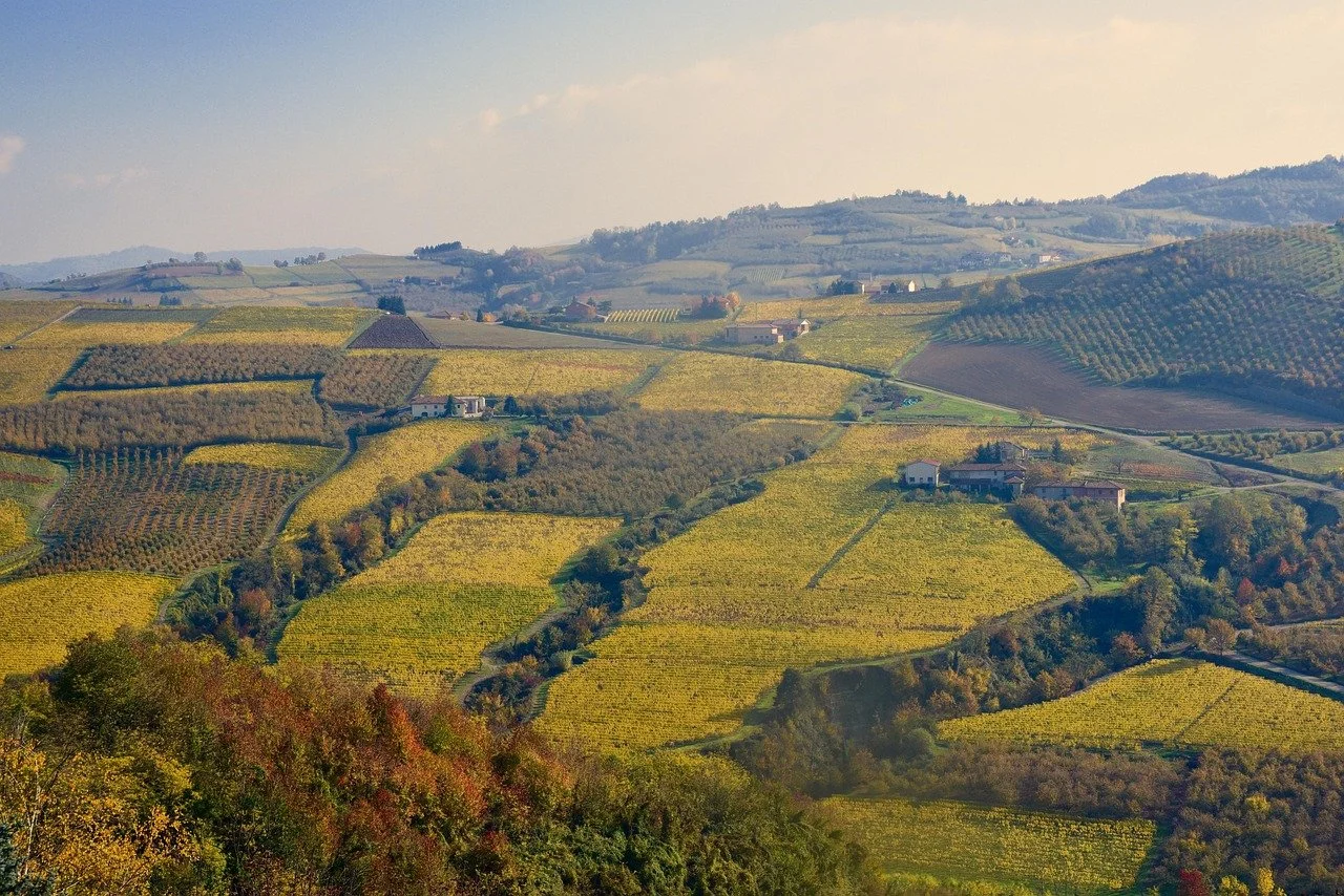 Piedmont_Italy_Vineyards.jpg