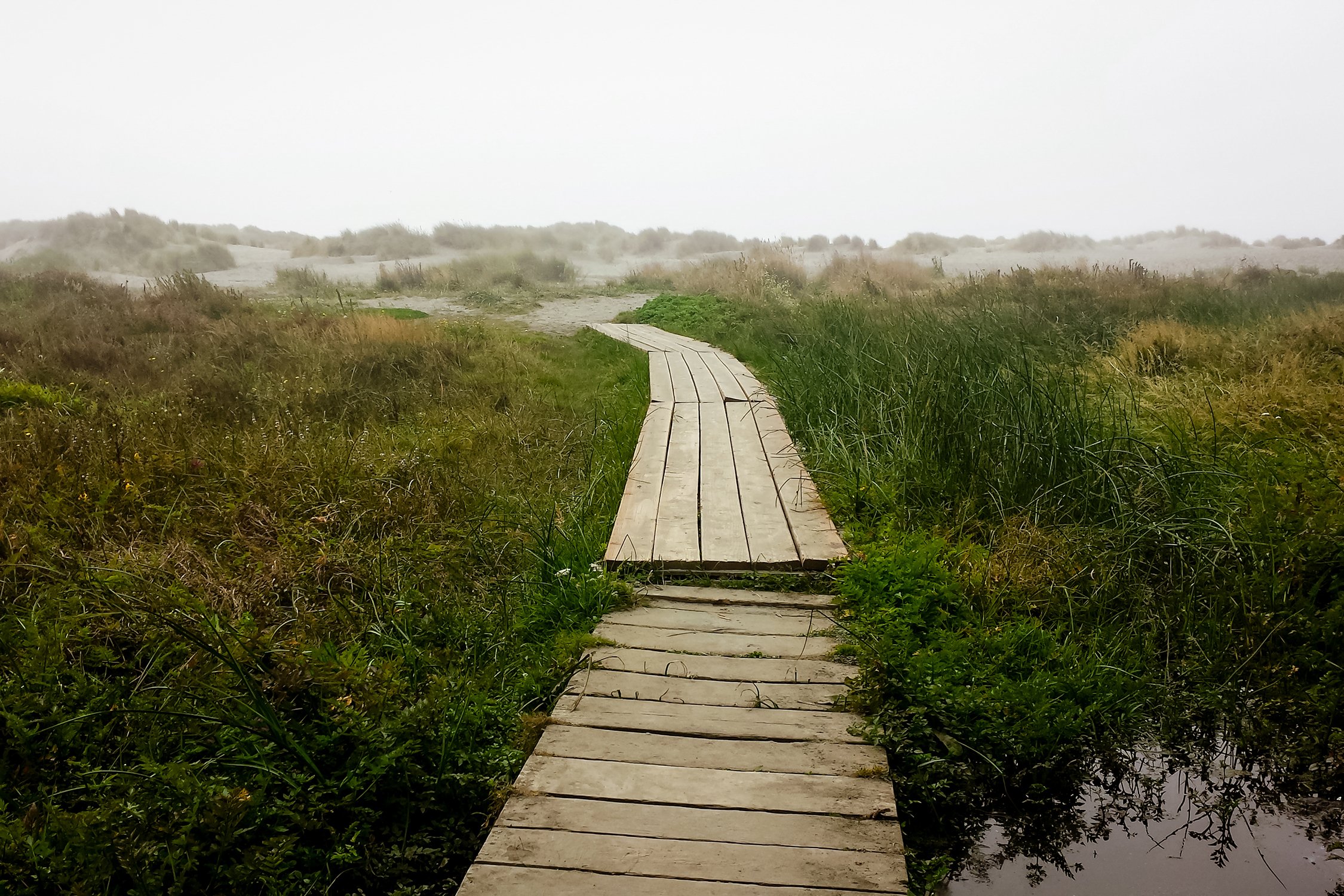 Clam Beach, CA 1