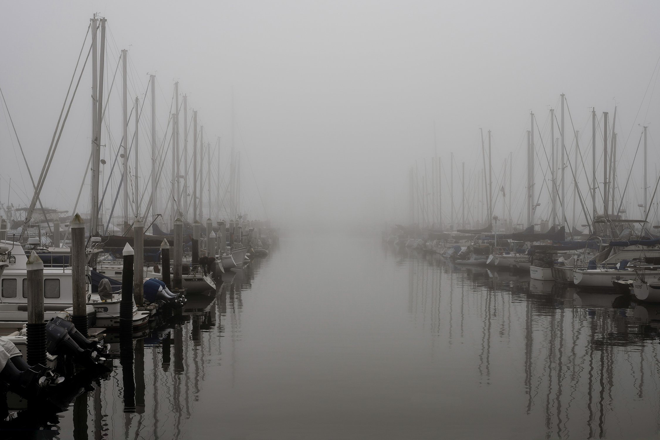 Harbor in Fog