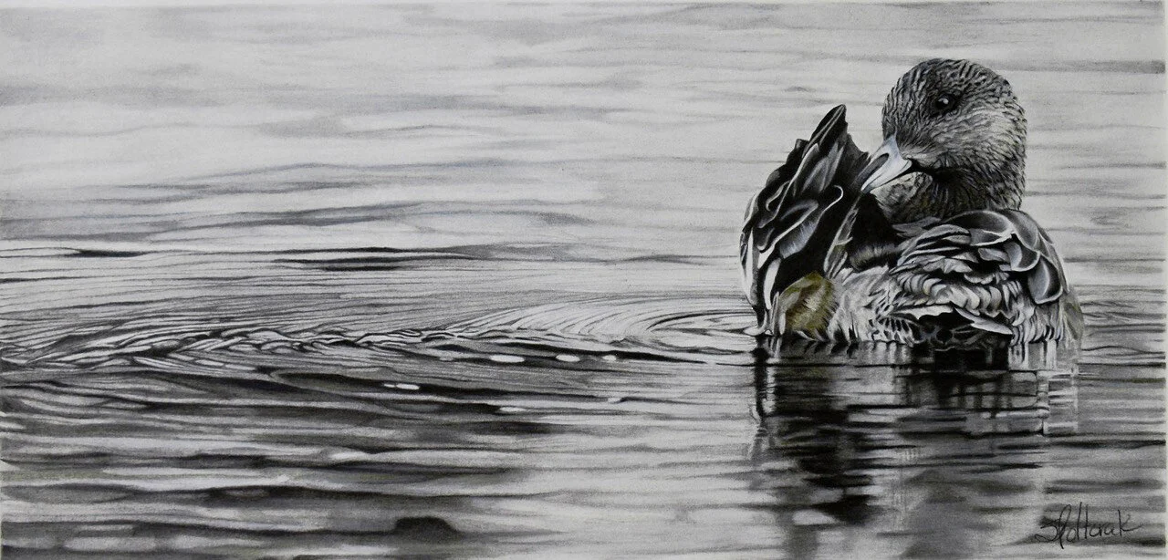 2020 – Ripple / Color and graphite pencil, 12” x 22” / SOLD