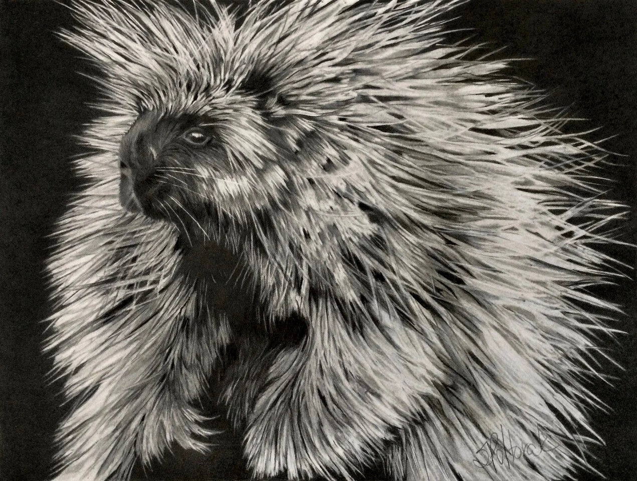 2020 – I’m Cute, Come Closer / Charcoal, color and graphite pencil, 8” x 10” / SOLD
