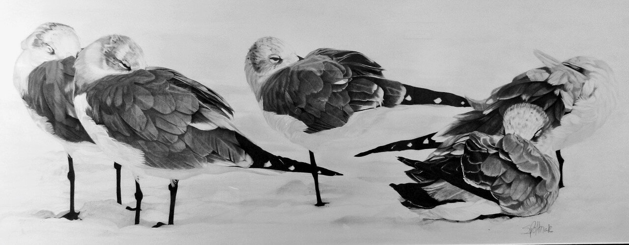 2016 – Nap Time / Graphite pencil, 12” x 30” / SOLD