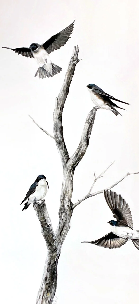 2020 – Swallow Fly In / Charcoal, color and graphite pencil, 46” x 21” framed / SOLD