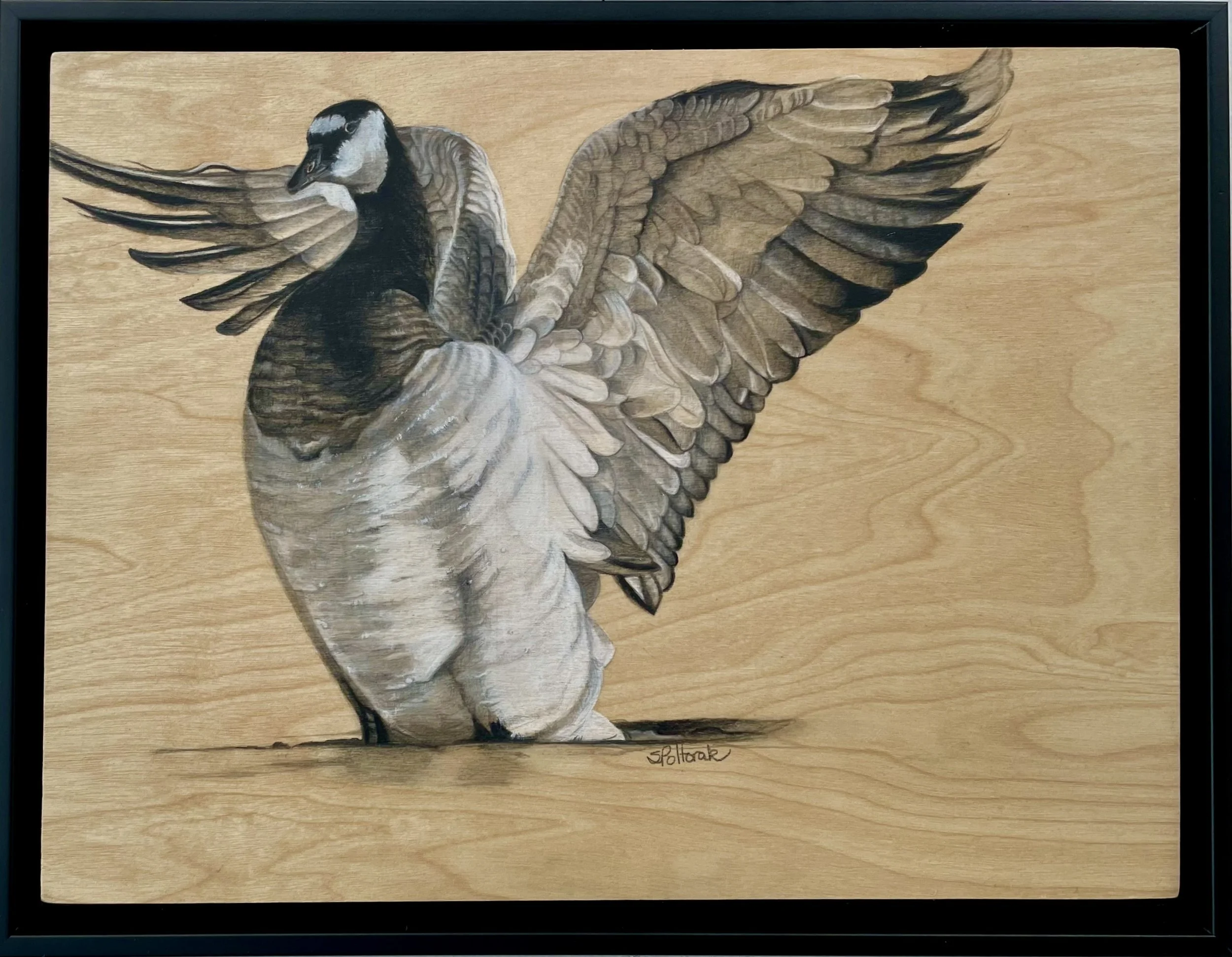 2022 - "Morning Stretch"/ Charcoal on Wood Panel, 11" x 14" framed, SOLD