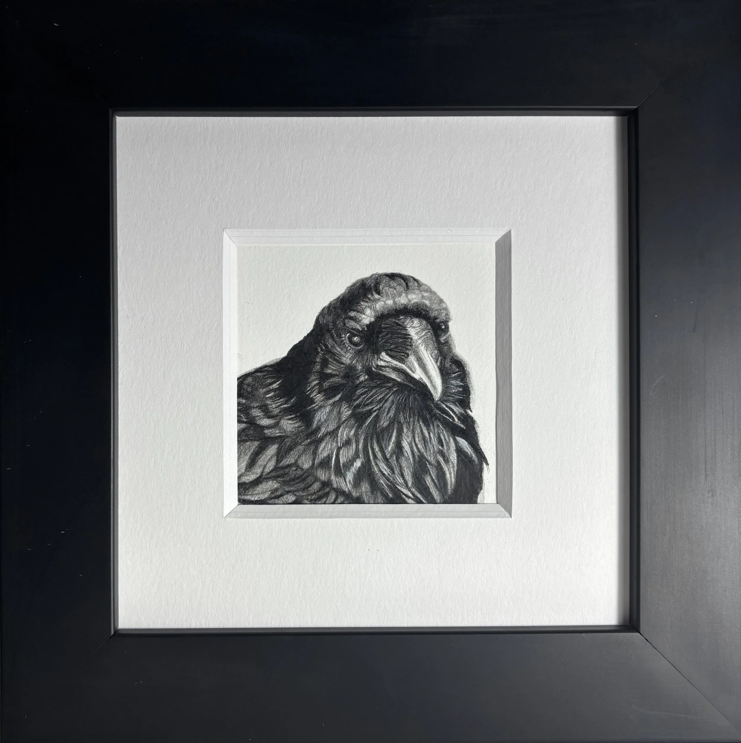 2025 - "Mini Raven"/Pencil, 7 3/4" x 7 3/4" (framed), AVAILABLE