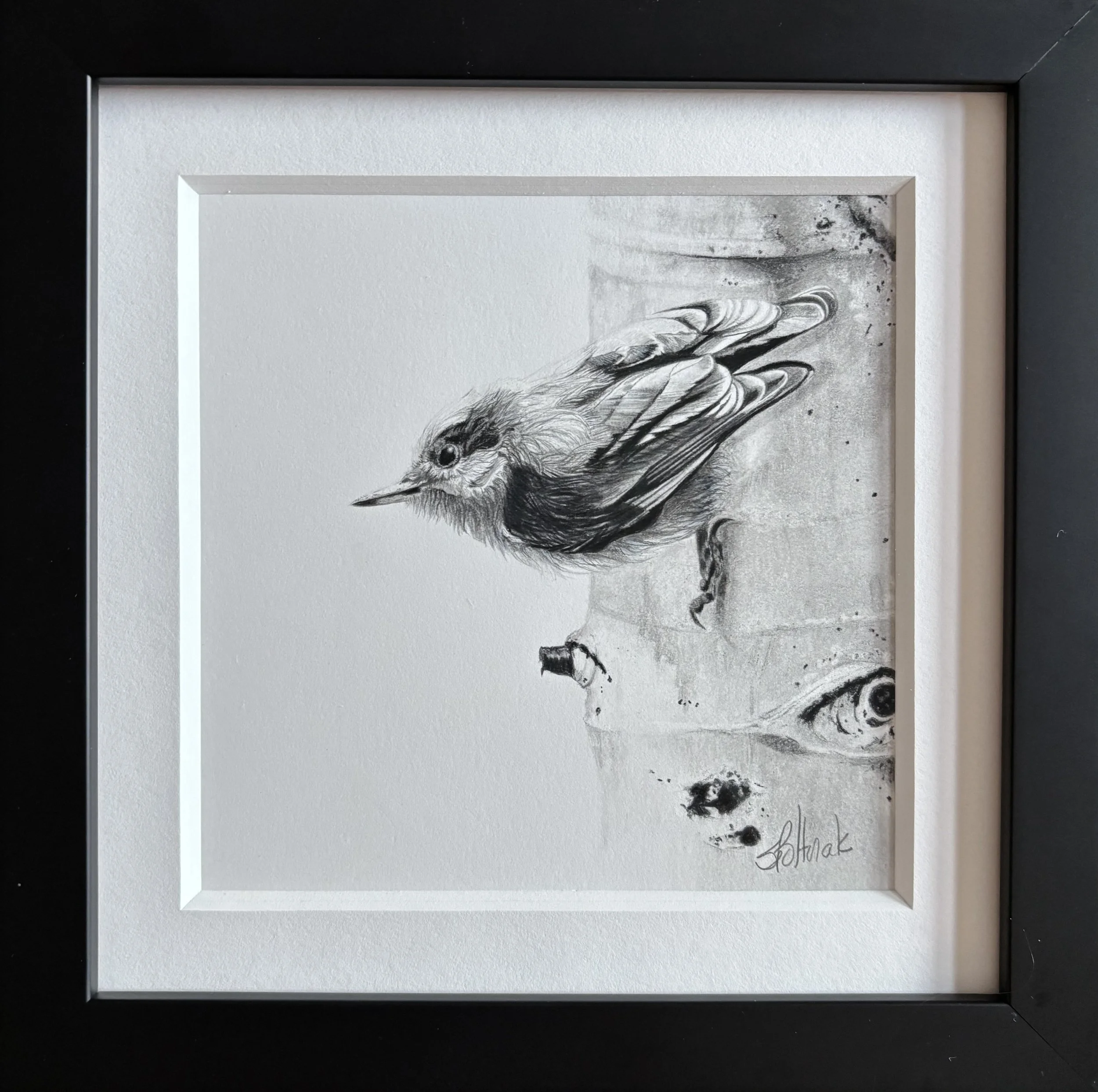 2025 - "Backyard Birds: Pygmy Nuthatch on Aspen Tree"/Pencil, 9" x 9" framed, AVAILABLE