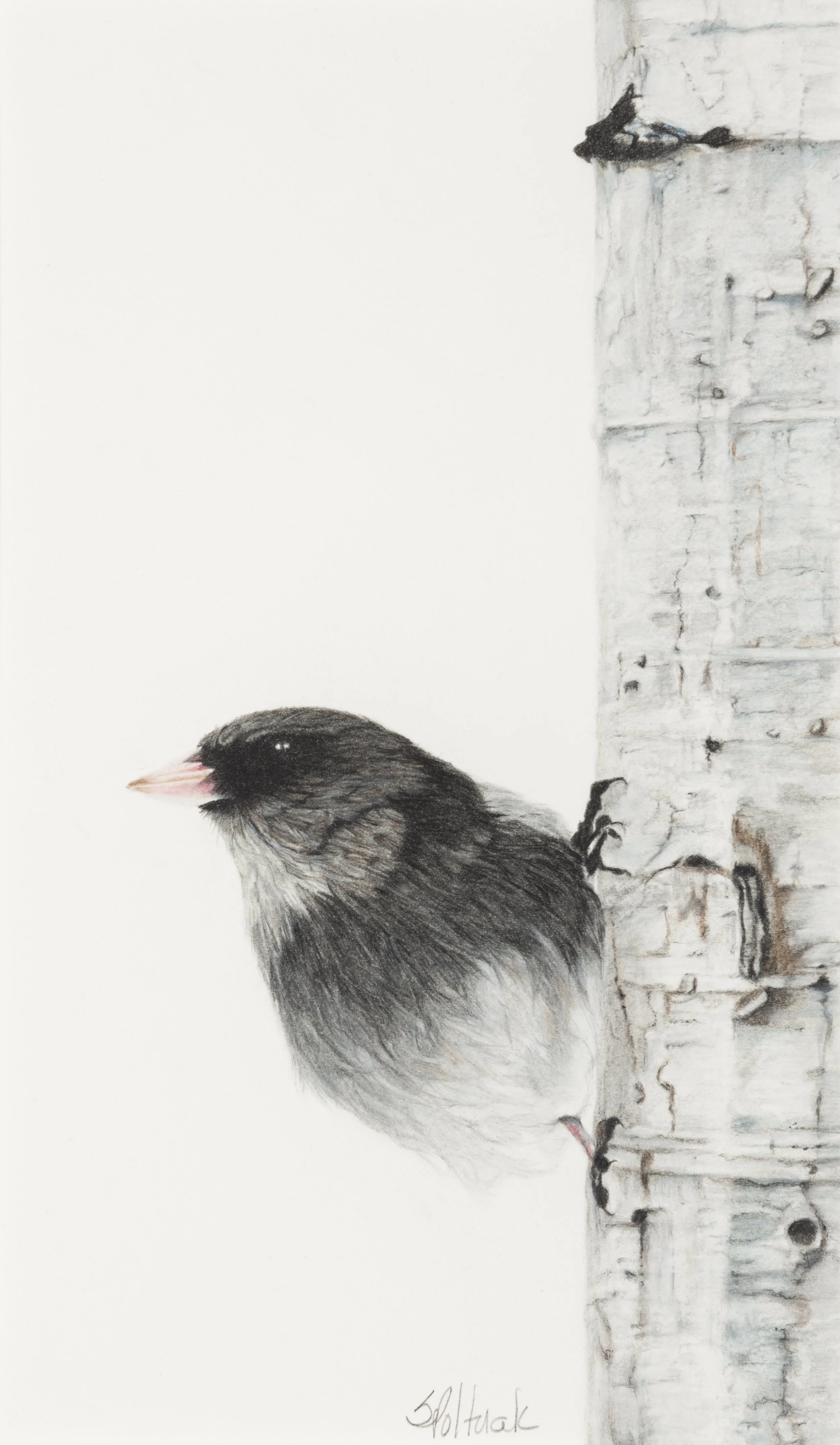 2020 - Perfect Perch/Pencil/SOLD