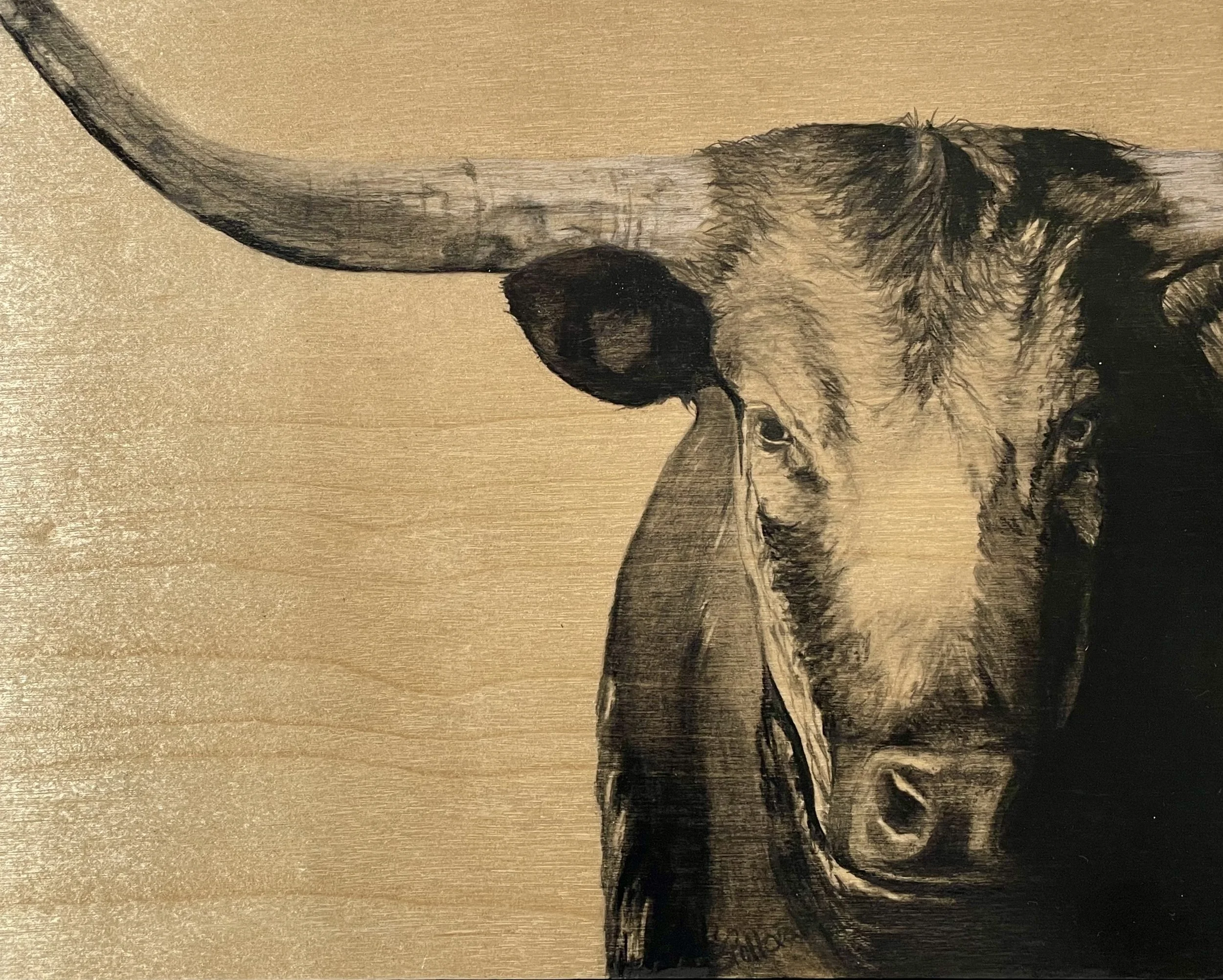 2022 - "Bull's Eye"/ Charcoal on Wood Panel, 11" x 14", SOLD