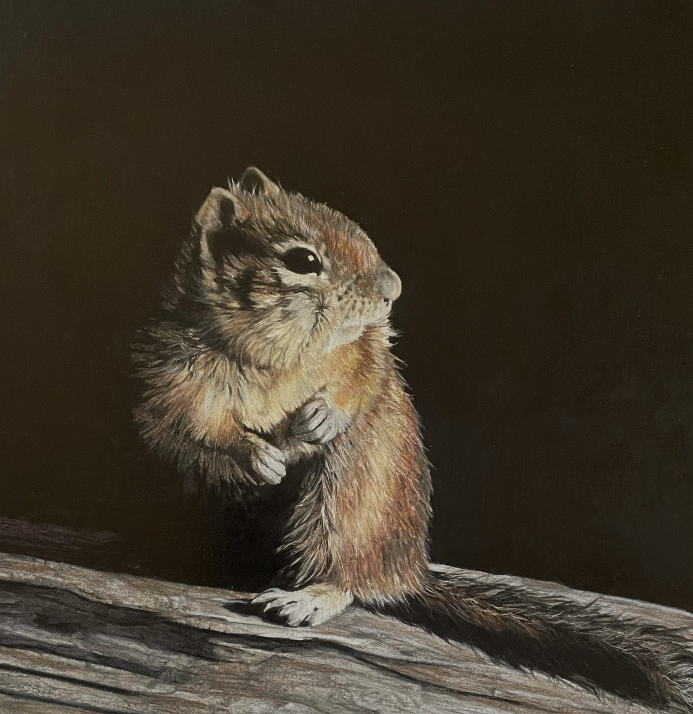 2023 - "Aglow"/pencil,  14" x14" framed, SOLD