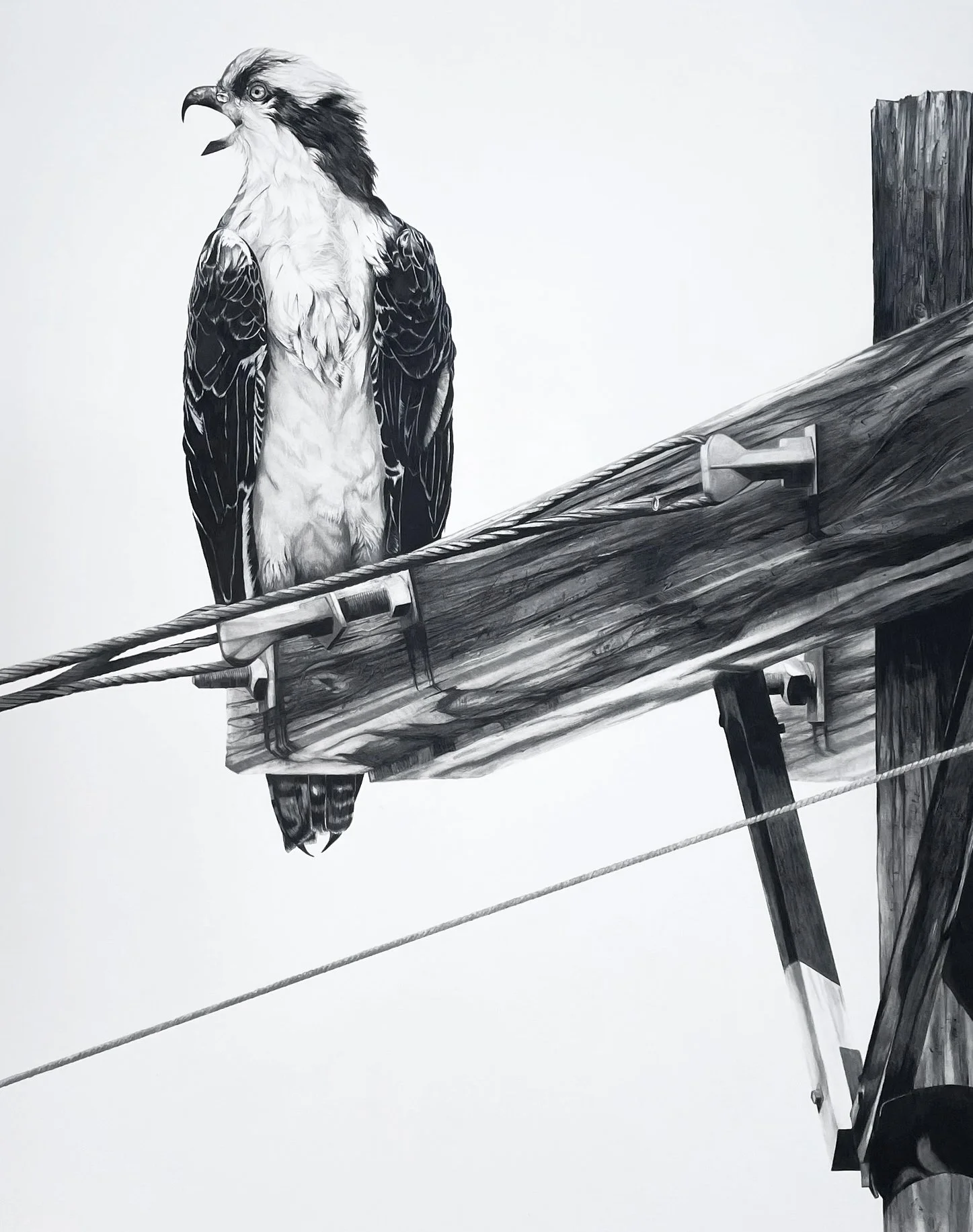 2023 - "Sentry"/Pencil, 55" x 44" framed, AVAILABLE