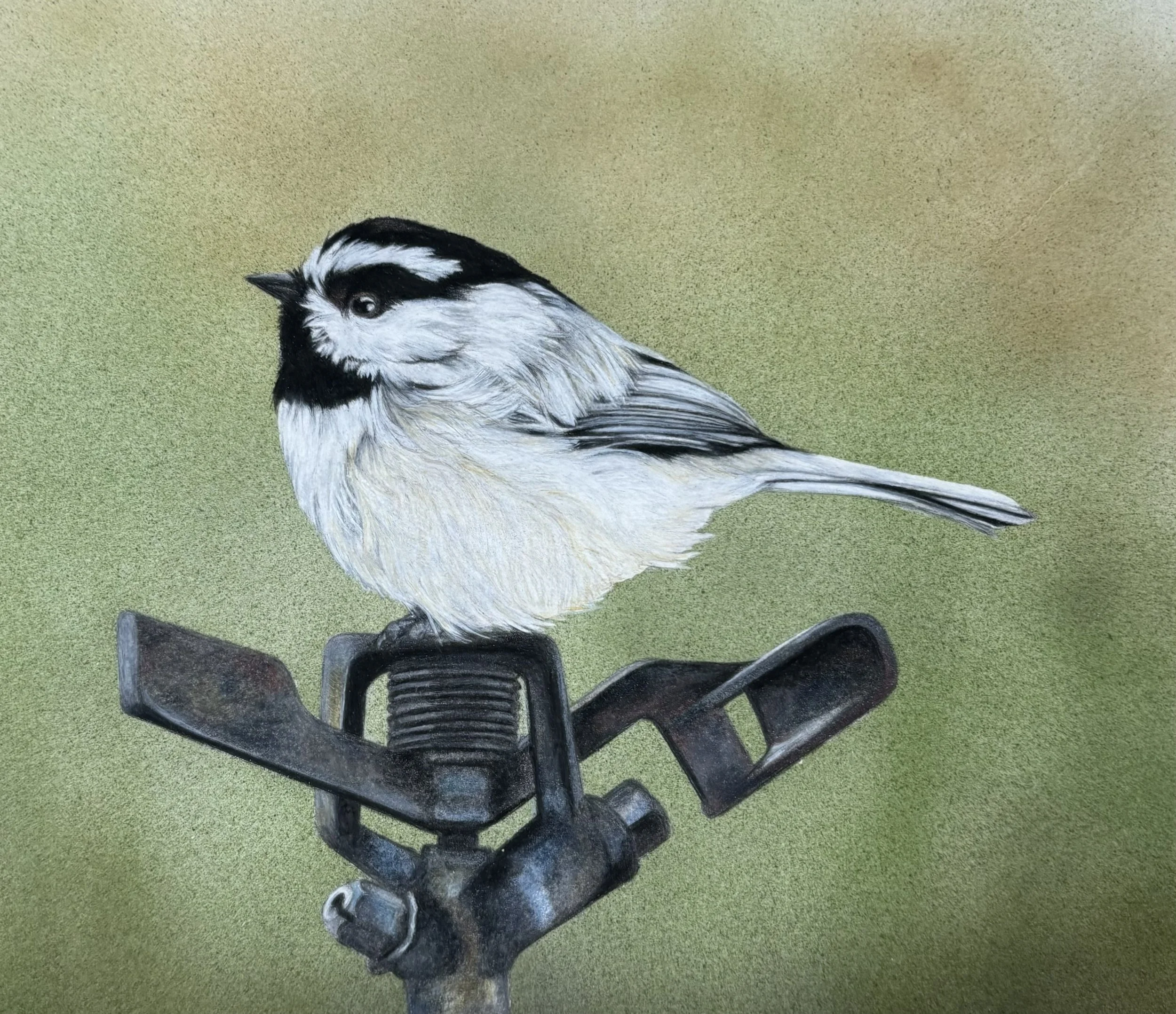 2024 - "Water Surveyor"/Pencil with airbrush background, 8" x 10" framed, Donated piece to the Steamboat Springs Sustainability Council