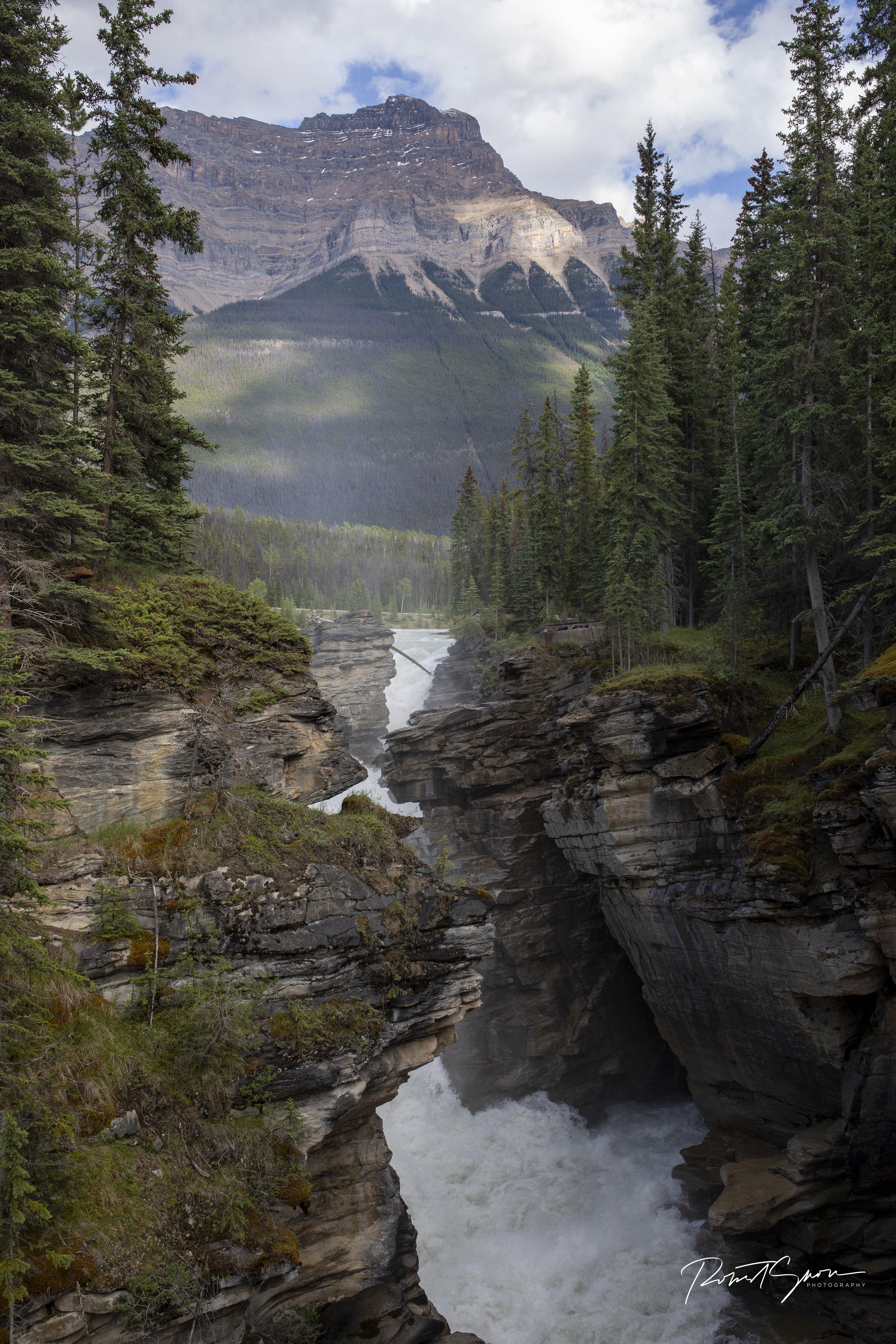 _M9A6750.jpg