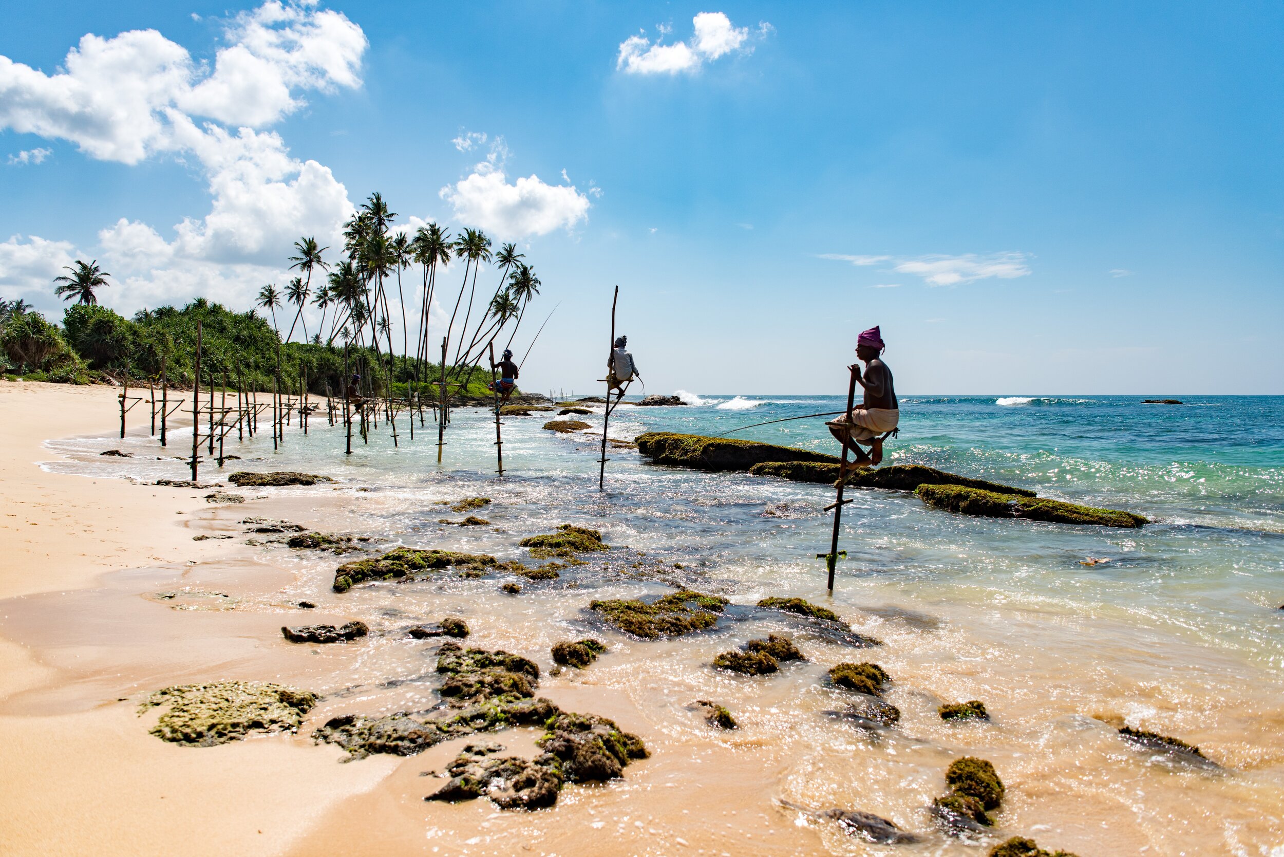 Stilt Fishing in Sri Lanka