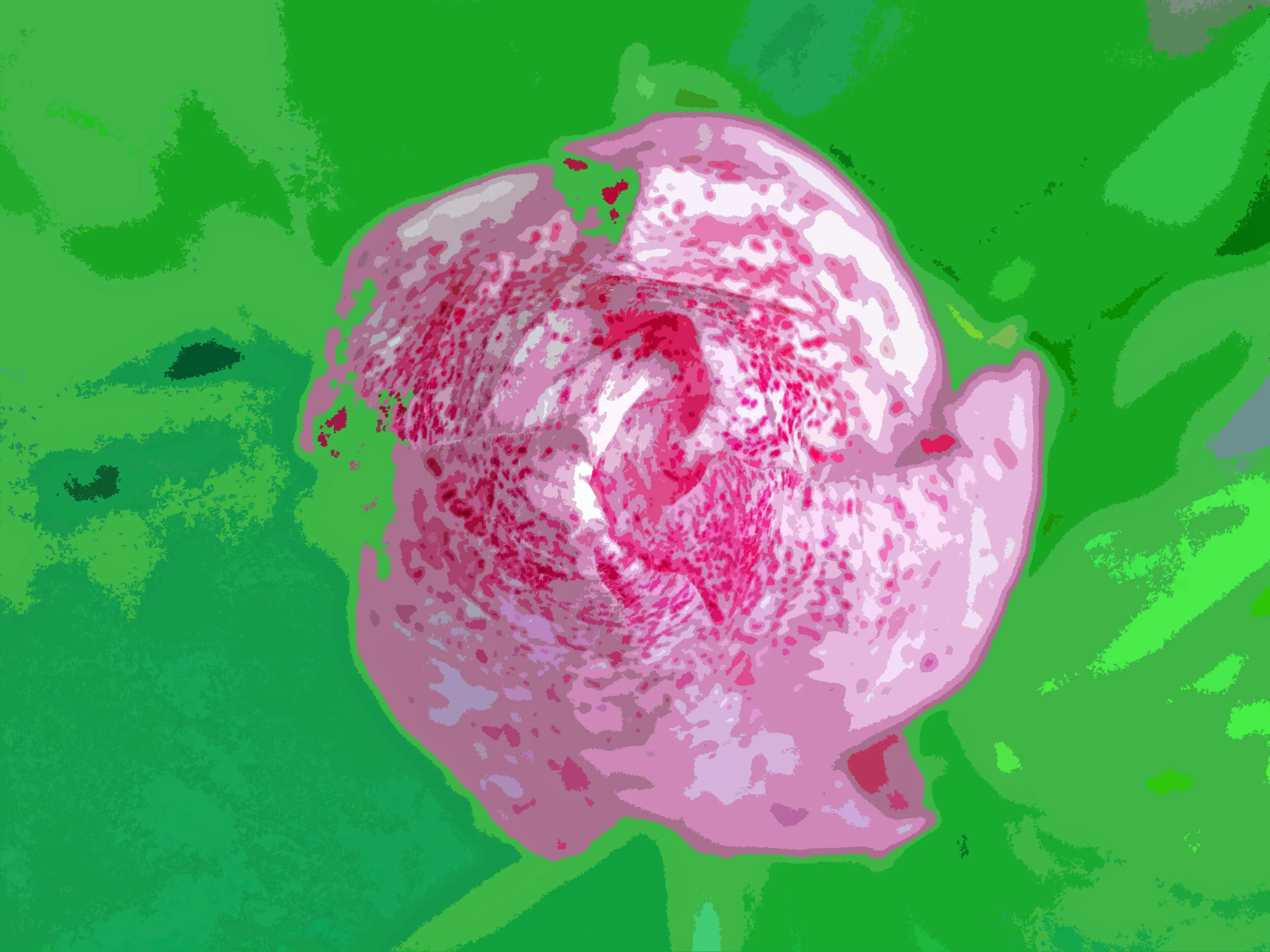 39348258680_cc433cfdb3_o.jpg