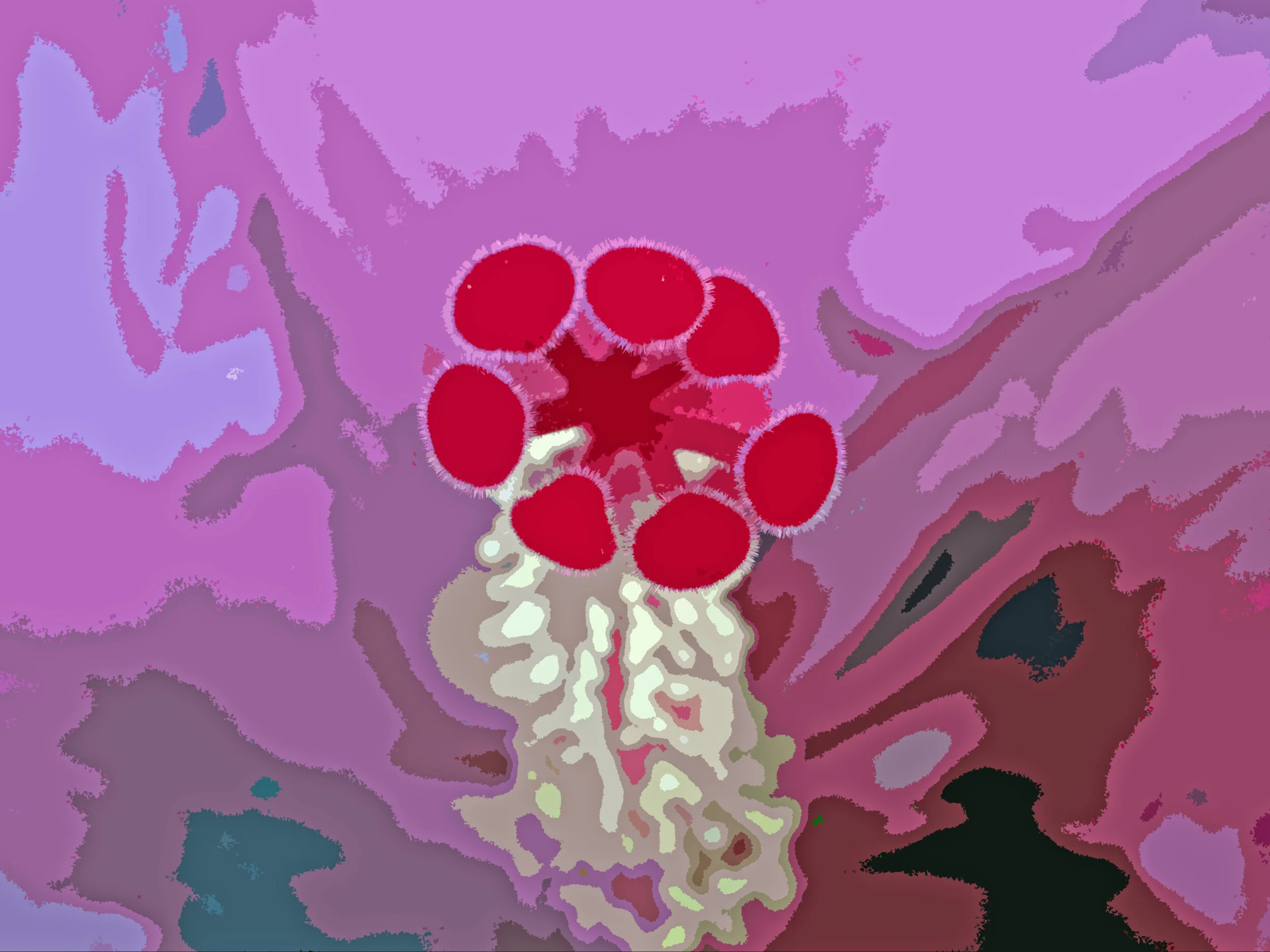 39348260230_1f849e6b33_o.jpg