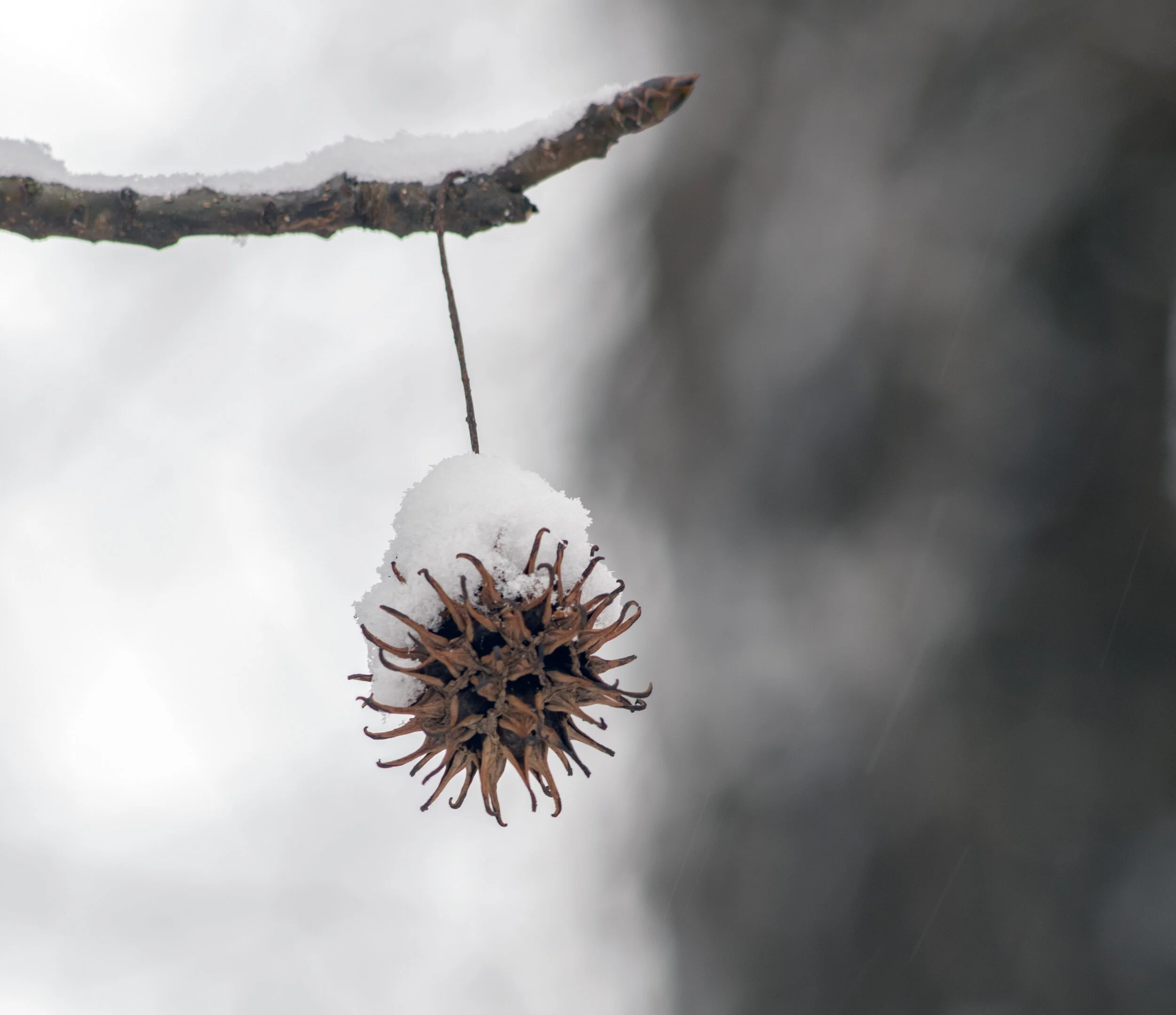 DSC_0151 reedit and crop.jpg