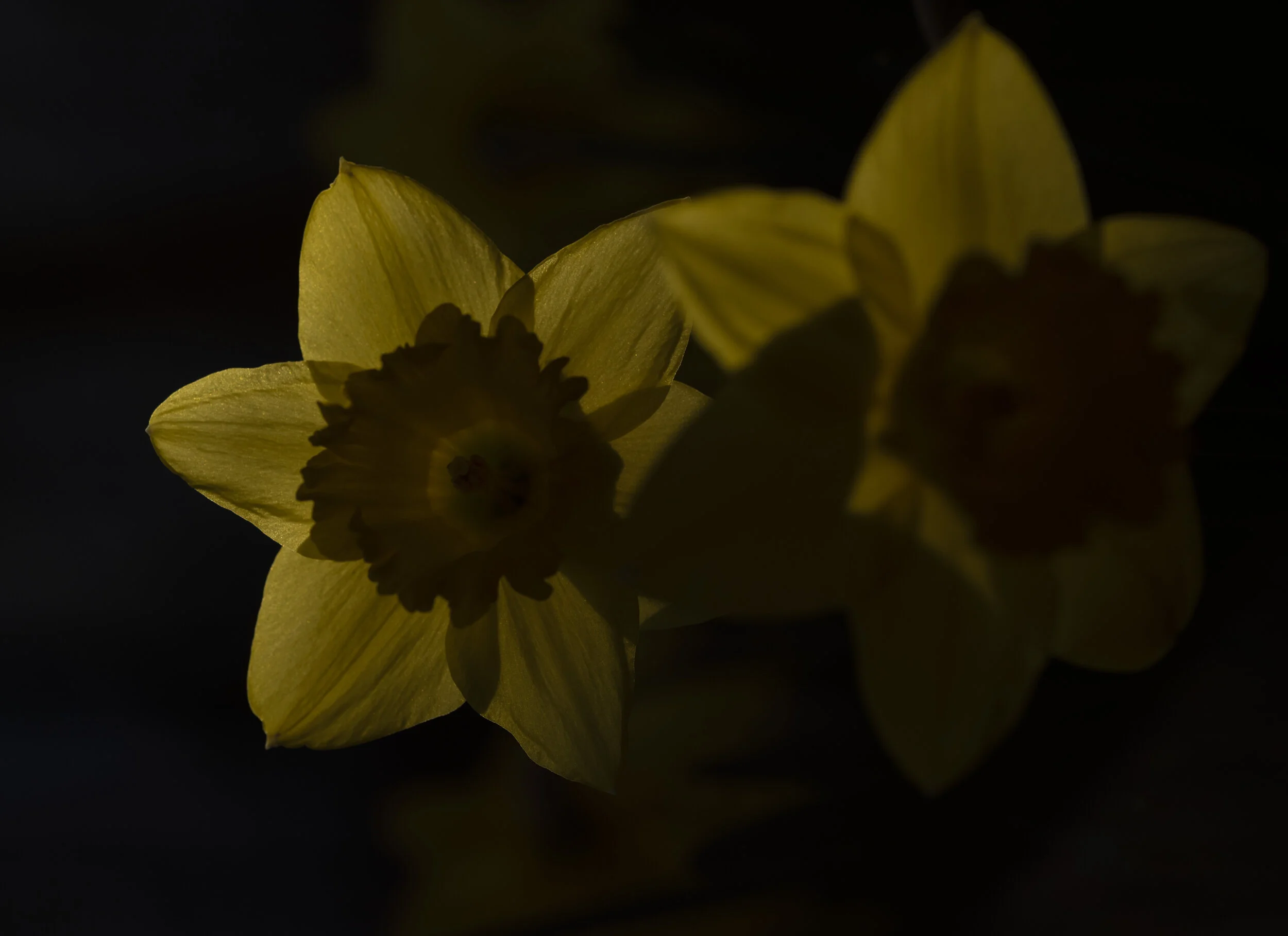 DSC_1131.jpg