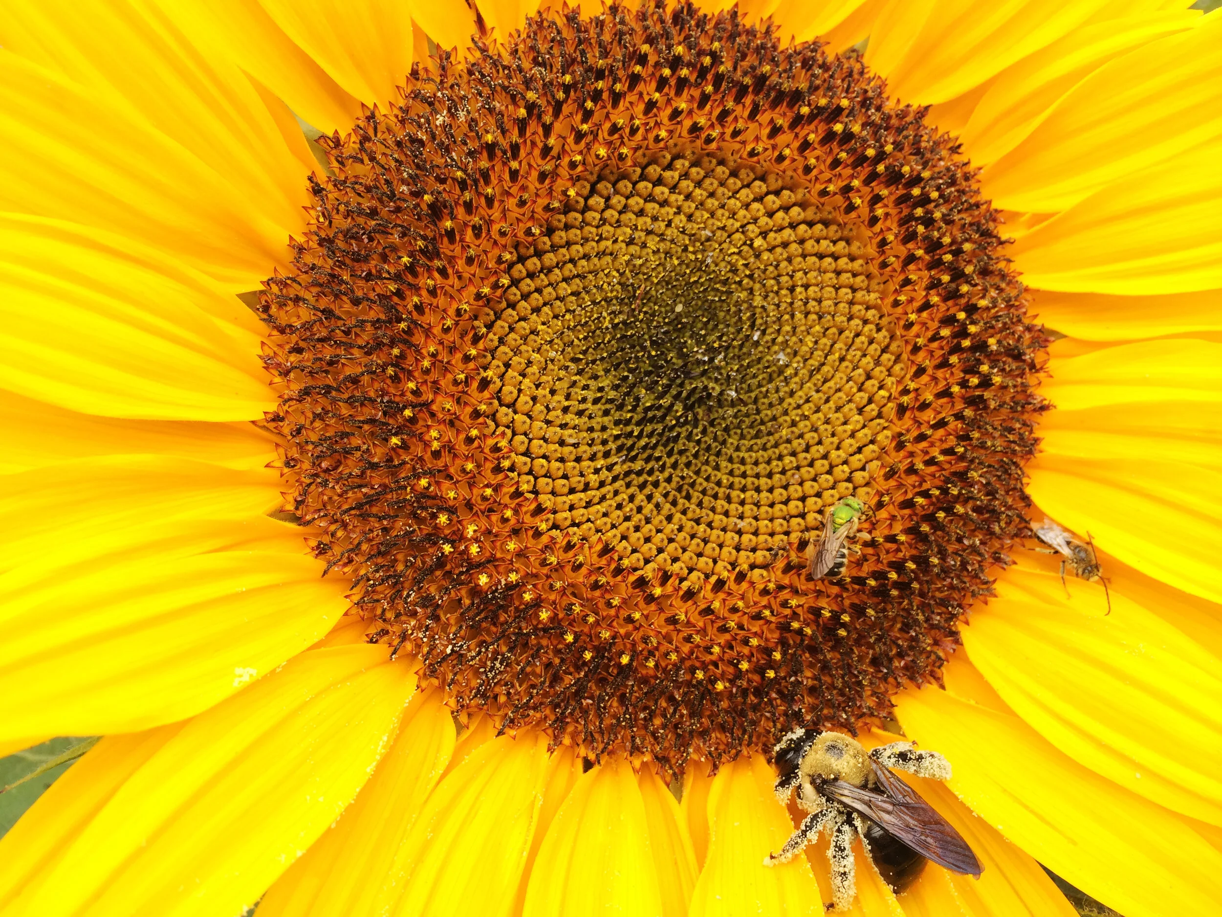 14749968369_9e31ef81c9_o.jpg