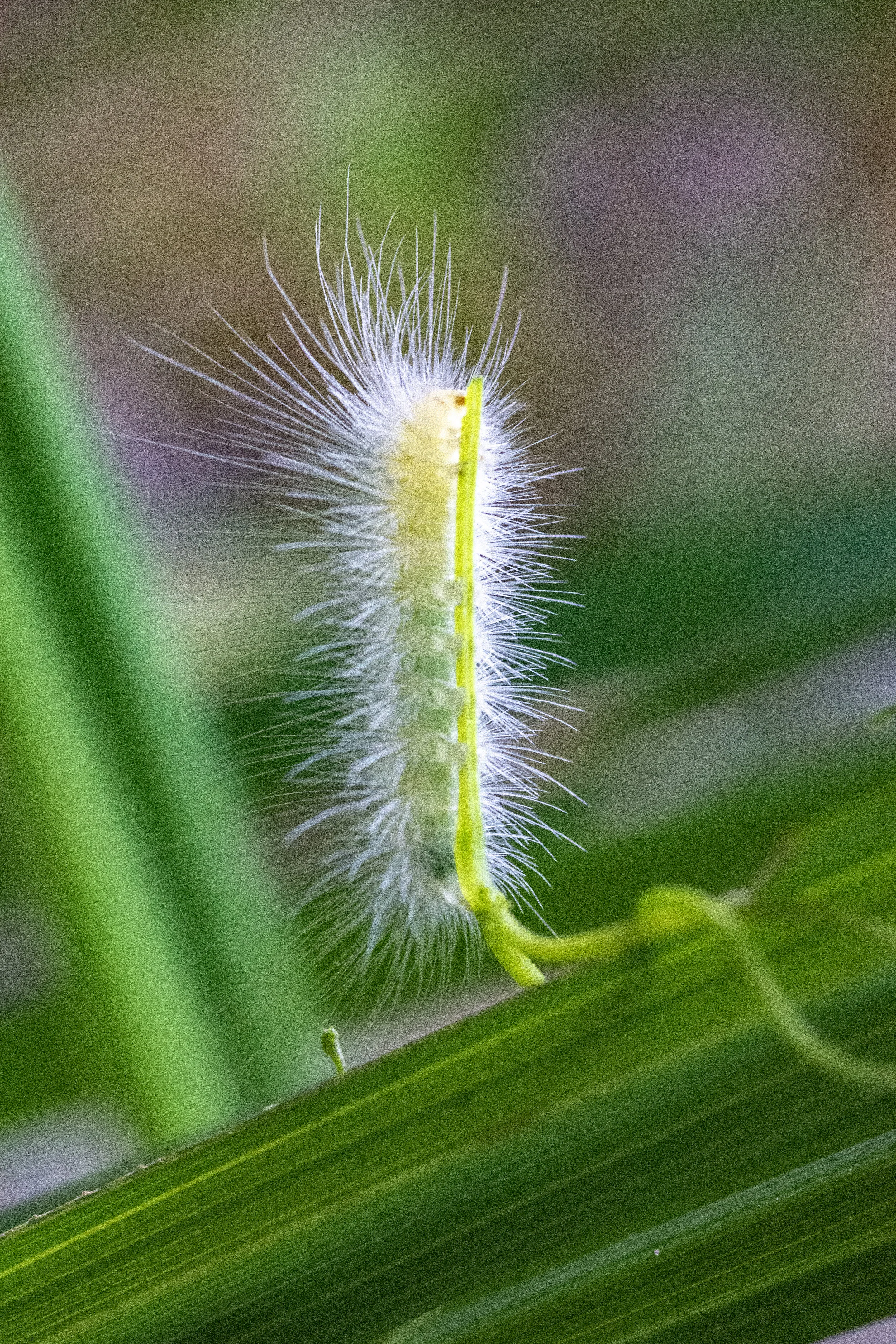 DSC_0353 edit.jpg