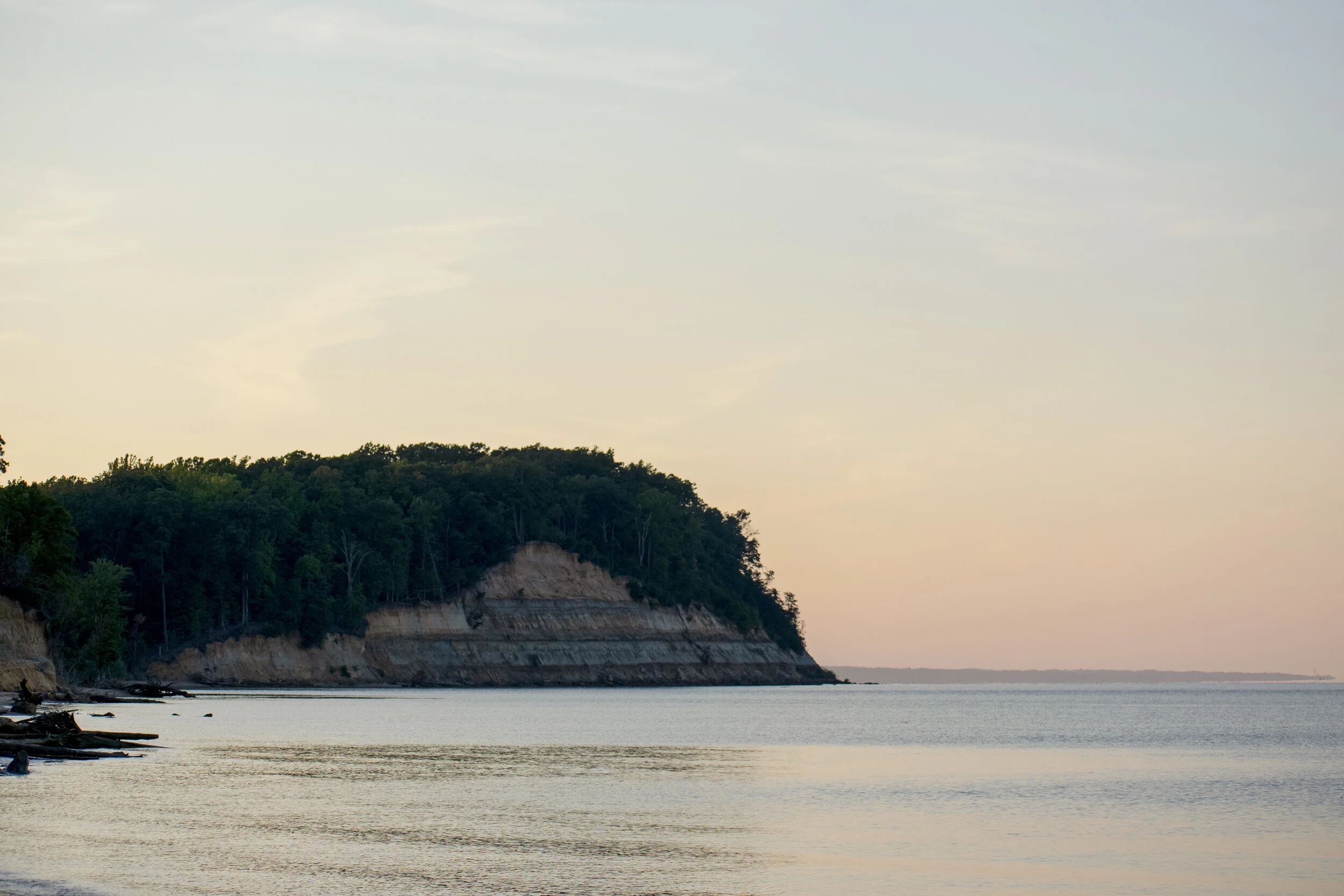 DSC_0478.jpg