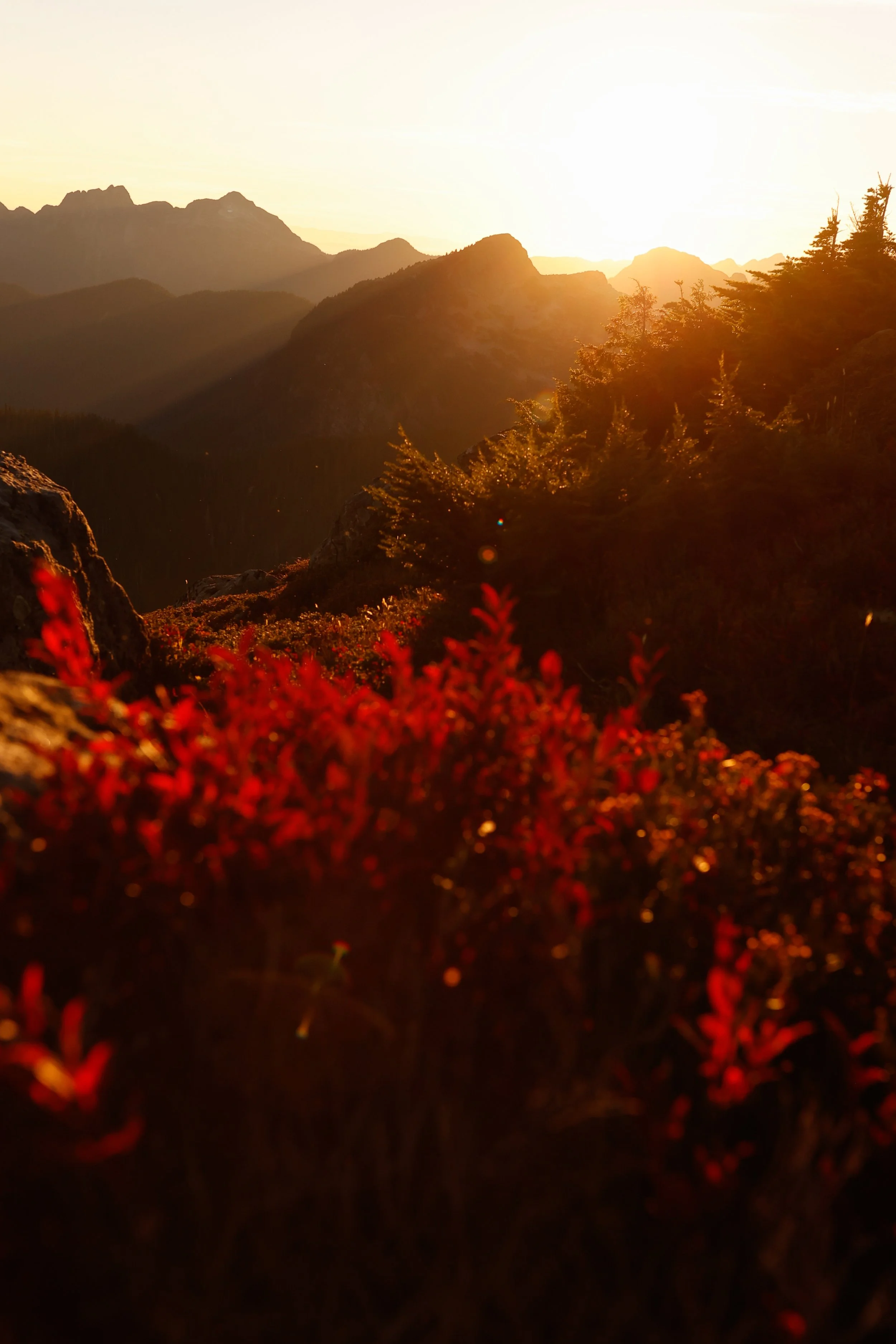 __Nature__K4I8899-2.jpg