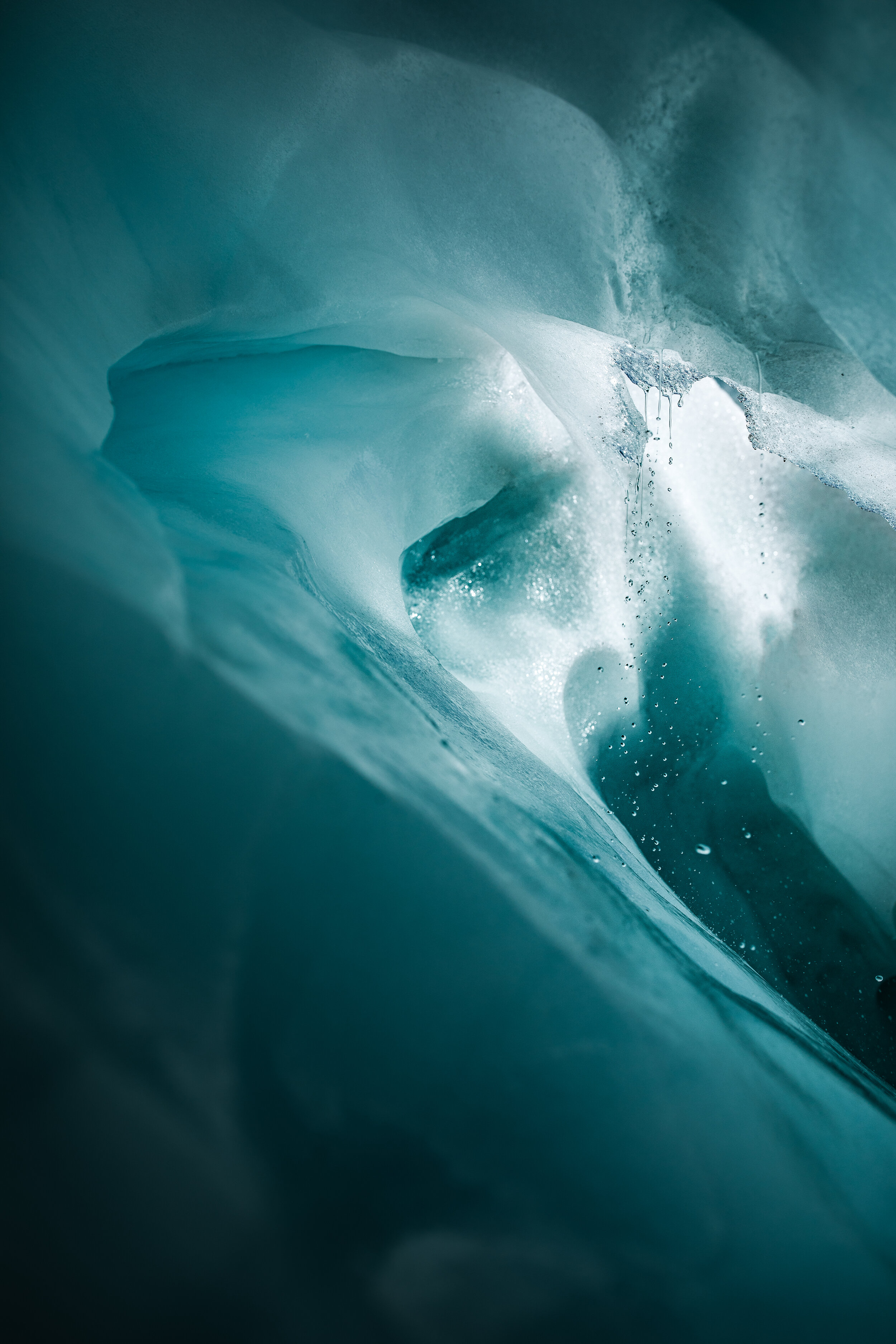 _X3A8504-Edit.jpg
