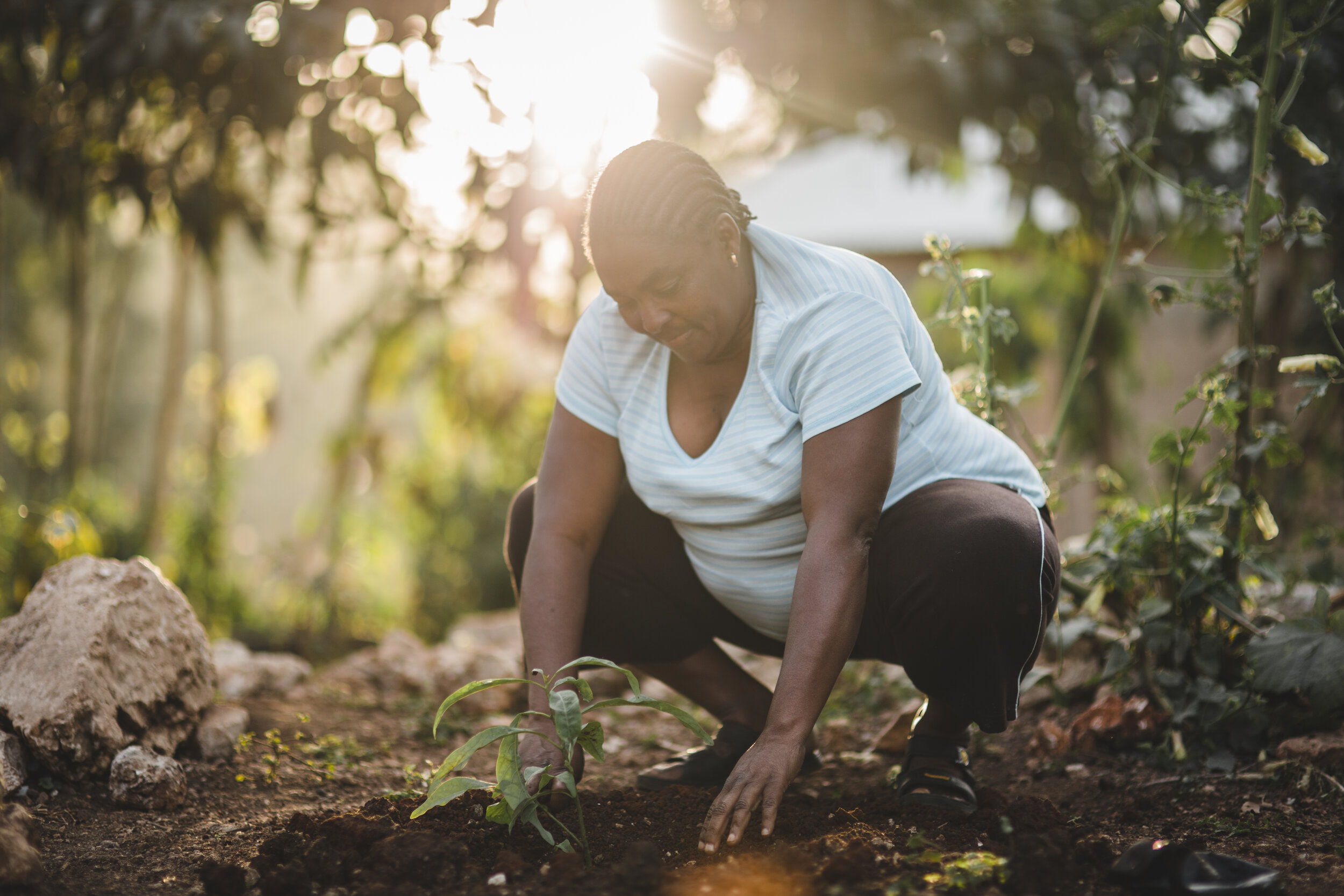 IMG_5071.jpg
