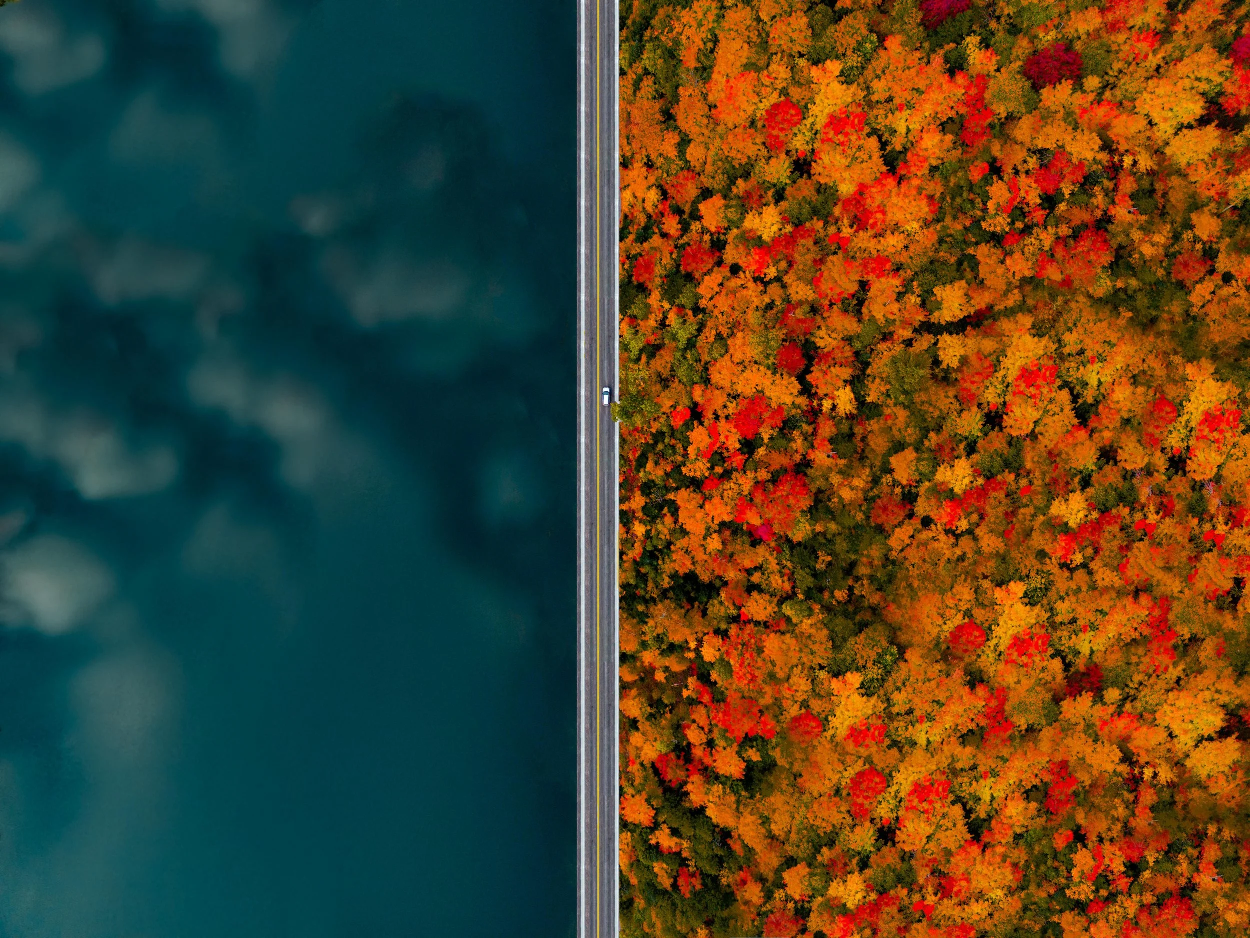 DJI_0014-Edit-2 copy.jpg