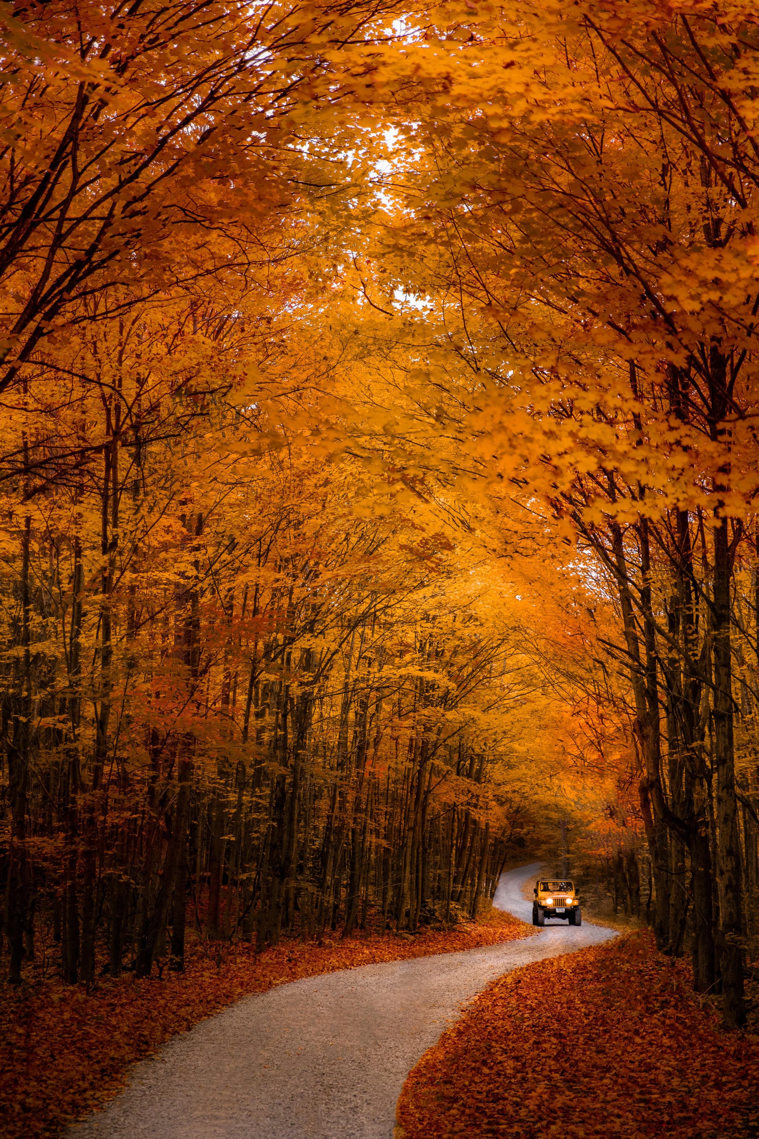 _K4I3958-Edit copy 2.jpg