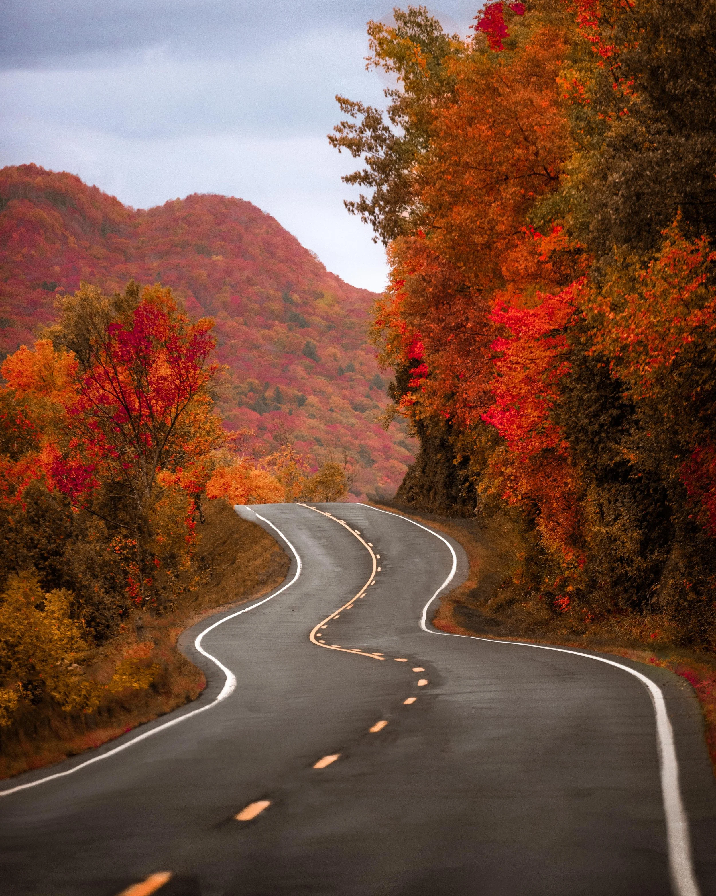 _K4I2521-Edit-Edit-3.jpg