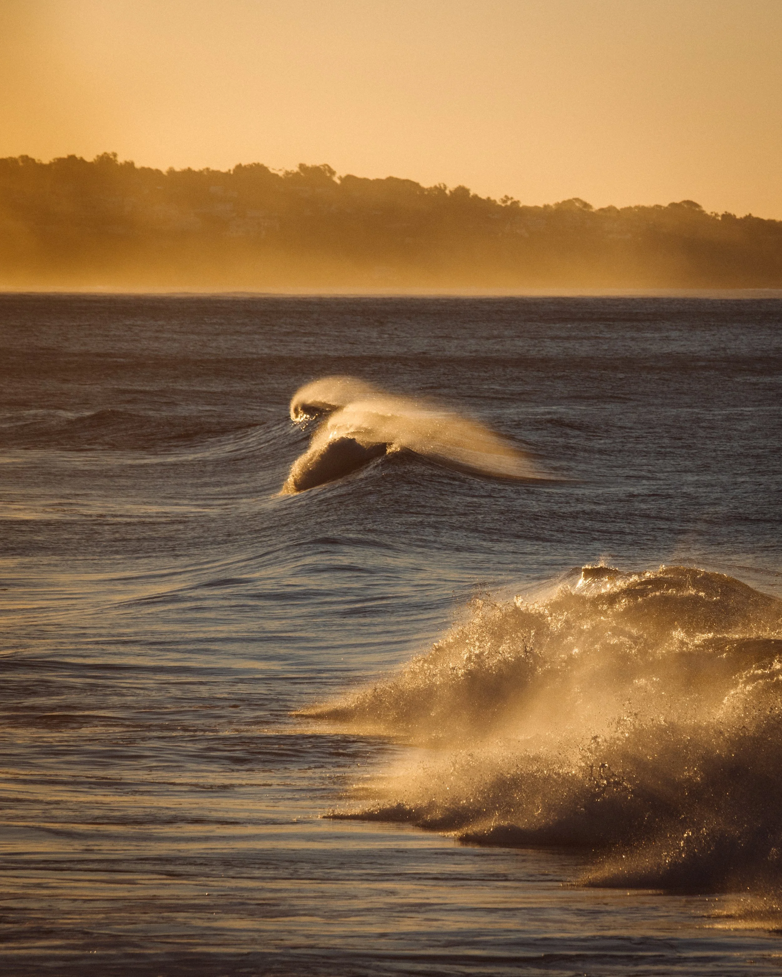Malibu_056A8713-2.jpg