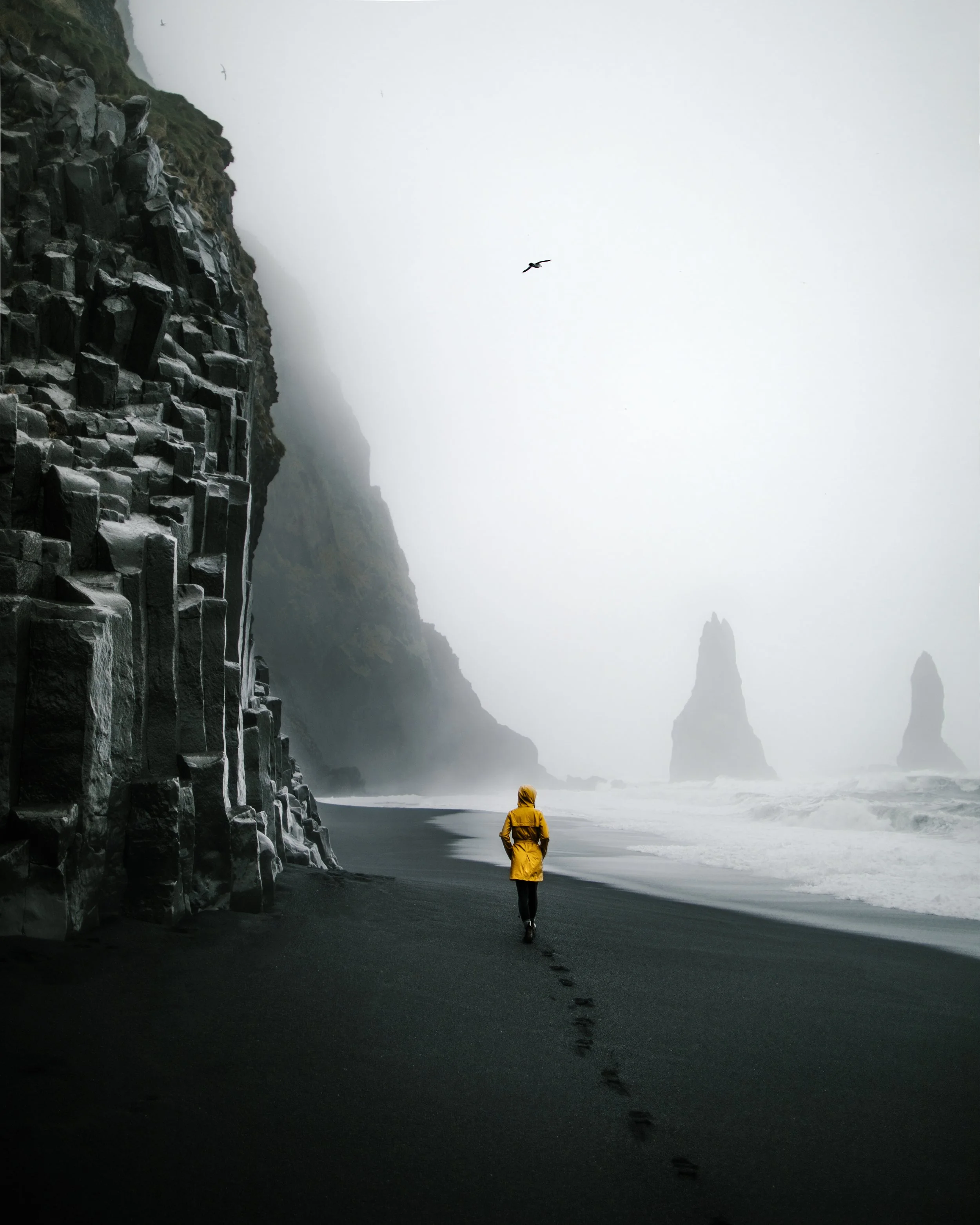 Reynisfjara Black Sand Beach_Iceland__X3A0923-Edit-2.jpg