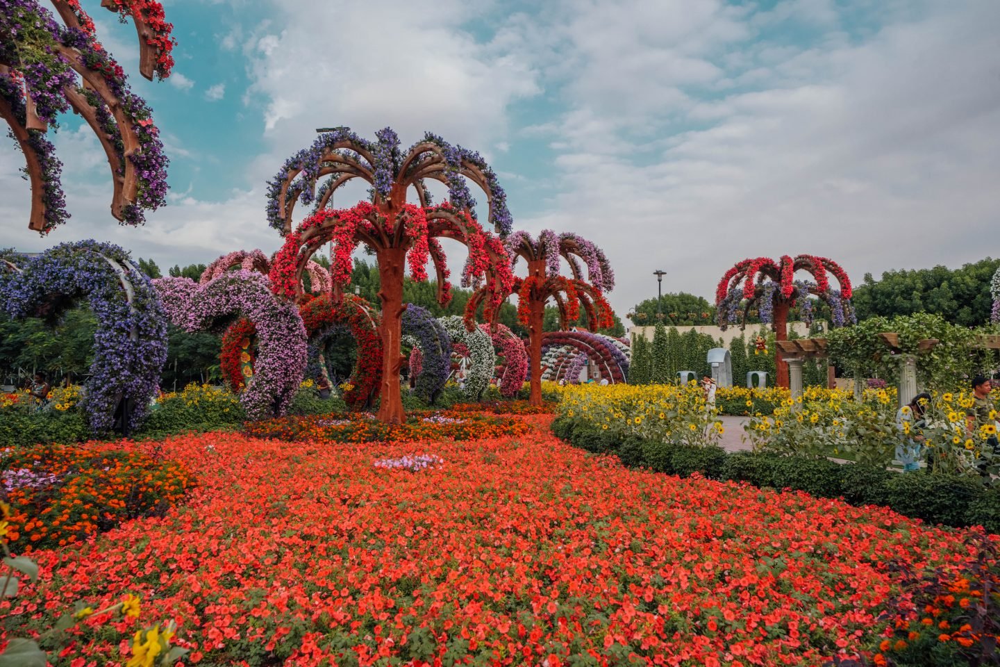 THE MIRACLE GARDEN 2.jpeg