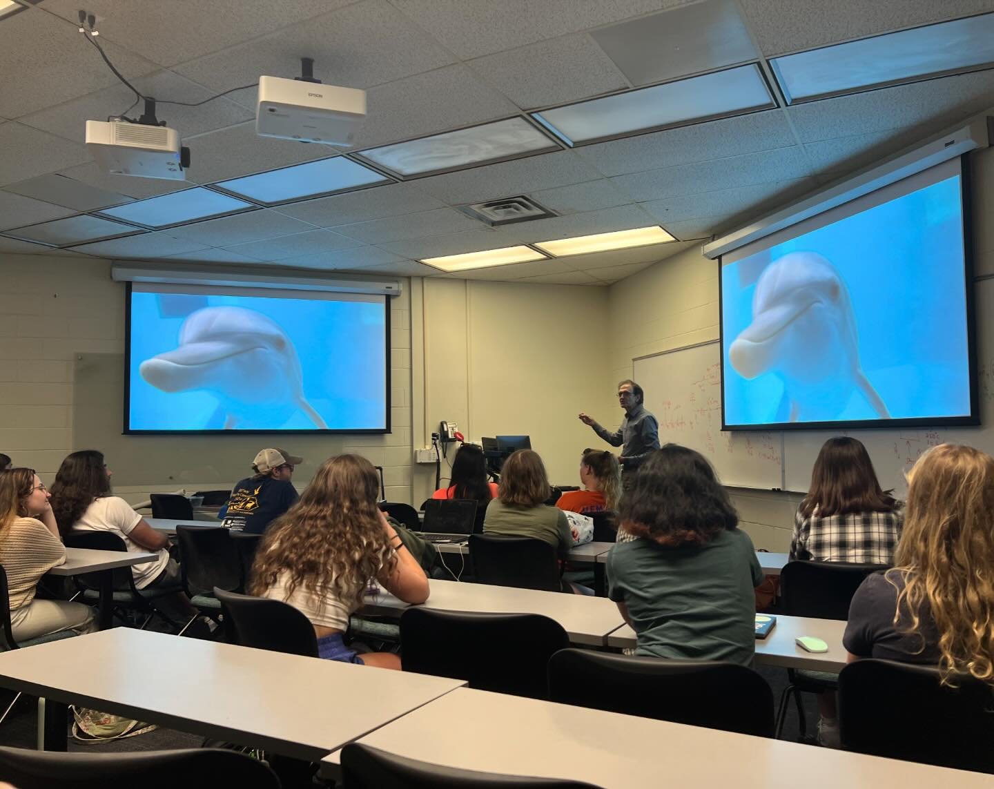 Thank you to UF Marine Animal Rescue for sharing about all that goes into your rescues with our members at our last GBM!🐬

Afterwards, our members watched the short film Gopher Games! Thank you to all that were able to join and learn more about Flor