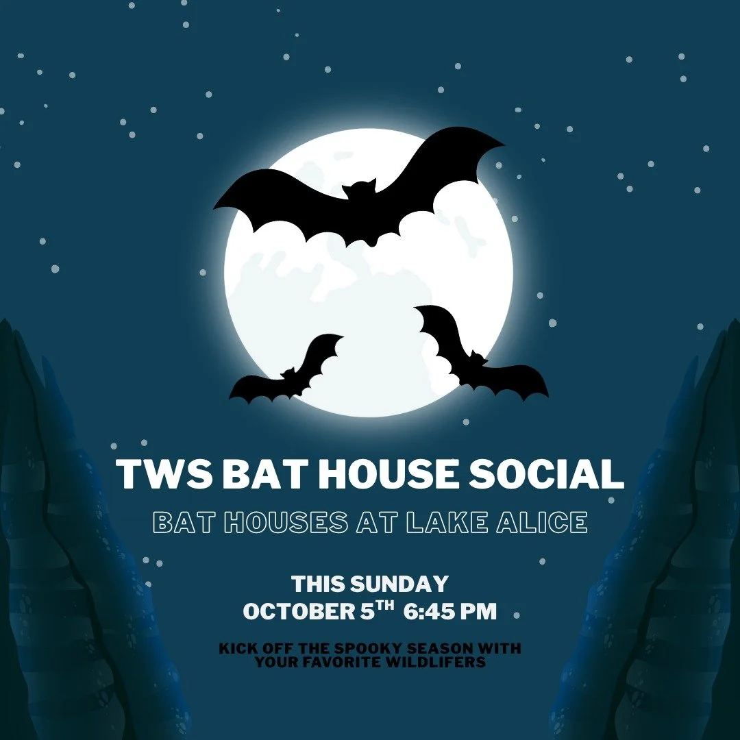 Our next social is at the bat houses this Sunday! We'll meet at 6:45pm to hang out (pun intended) before the bats come out at around 7:30. Bring a blanket or camp chair if you'd like to sit! 

Stay tuned for our GBM announcement! See our website for 