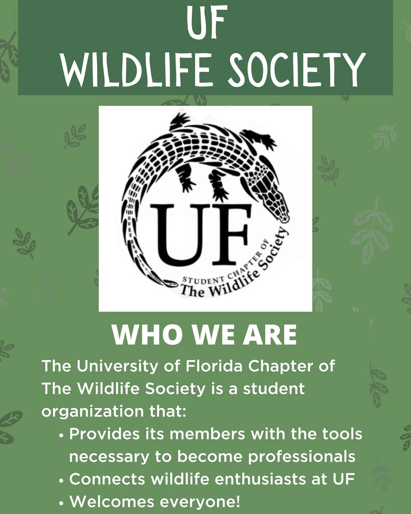 A bit about us! We are the UF Chapter of the Wildlife Society, an international organization for wildlife professionals. Join us for biweekly GBMs with guest speakers and workshops! We also announce socials and other fun events like Beast Feast and C