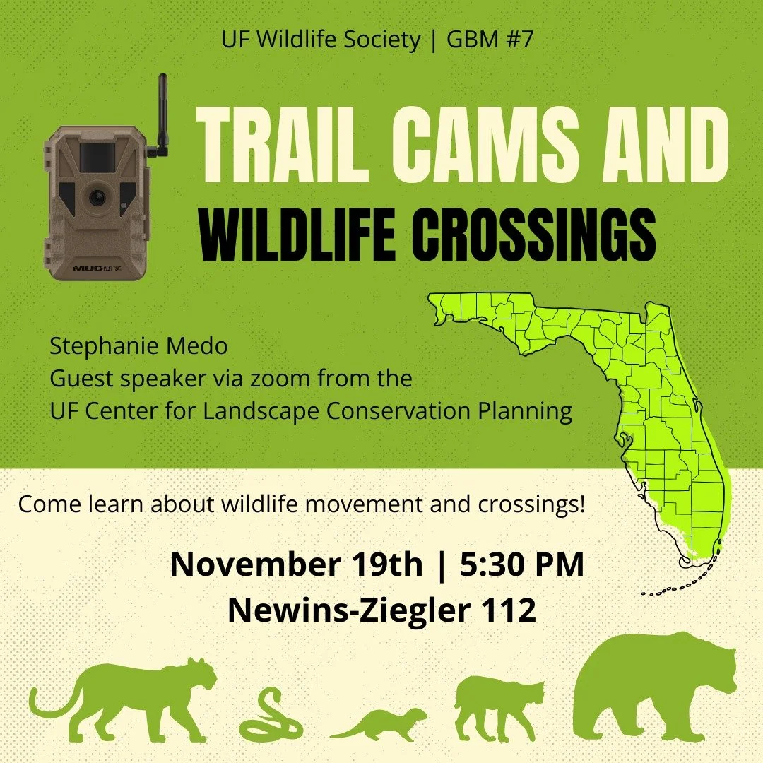 Our next GBM is Wednesday the 19th! Join us for a talk about wildlife movement and crossings with Stephanie Medo, via zoom, from the UF Center for Landscape Conservation Planning. 

November 19th, at 5:30PM, in Newins-Ziegler Hall 112. 

See you ther