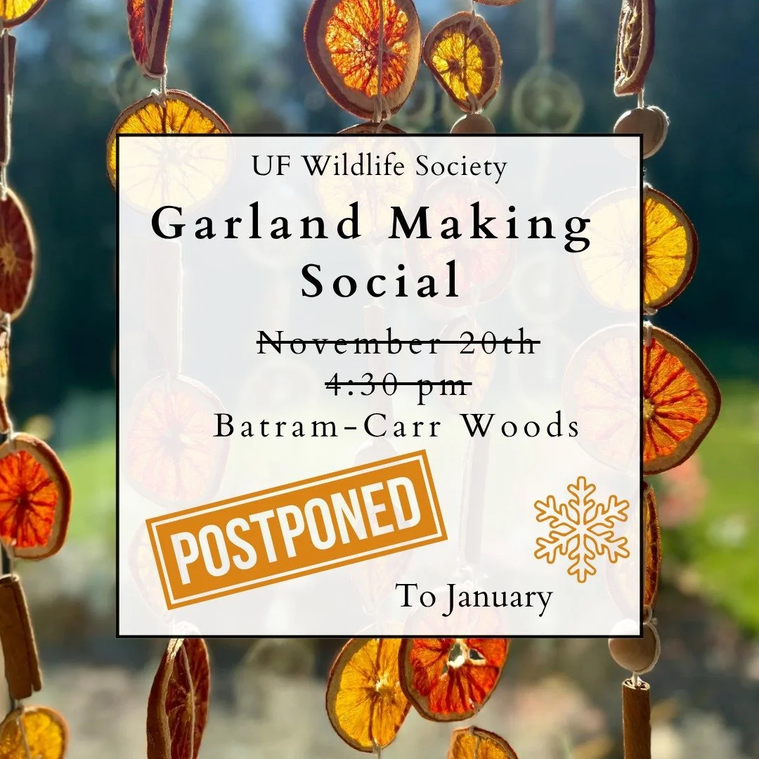 Our garland social has been postponed until after winter break. We'll see you at our last two GBMS on 11/19 (5:30PM) and 12/3 (to be announced soon!)

After that, have a great break!