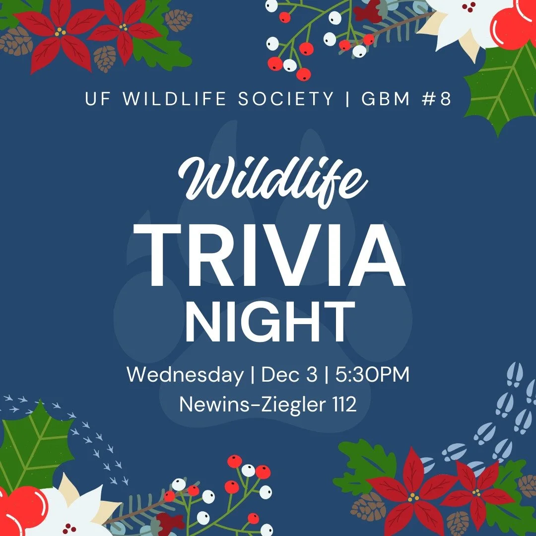 Our last GBM of fall will be a wildlife trivia night! Take a break from studying and enjoy friendly competition with peers! 

Wednesday, December 3rd, at 5:30PM in Newins-Ziegler Hall Room 112.

See you there!