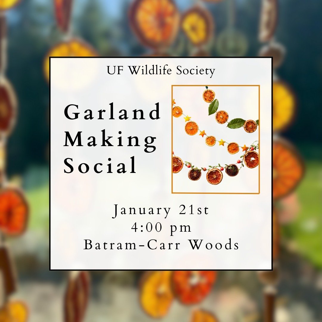Our first social of the semester will be a garland making evening at the Bartram-Carr picnic tables. We will have basic supplies but feel free to bring your own as well! 

January 21st, 2026, 4:00 PM, see second slide for a map