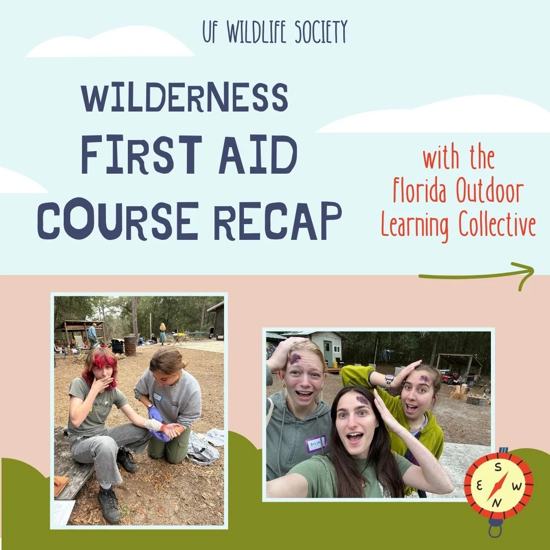 Recap of the Wilderness First Aid Course that happened this weekend! Thank you to the Florida Outdoor Learning Collective for hosting a great course! Once completed, the participants earned a Wilderness First Aid certification. 

Stay tuned for our G