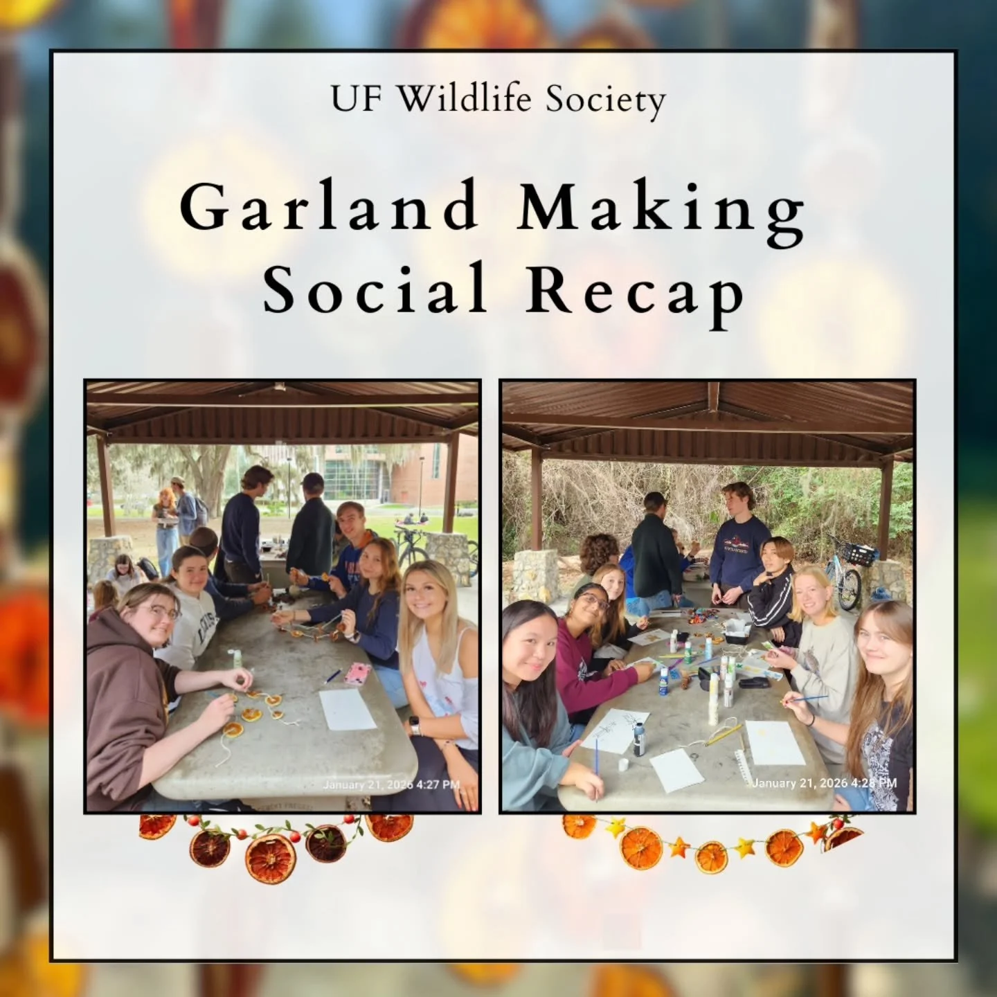 #garlandsocial #friendship #orangesandtwine #communityandcrafts #wildlifeart 

Thank you for coming!