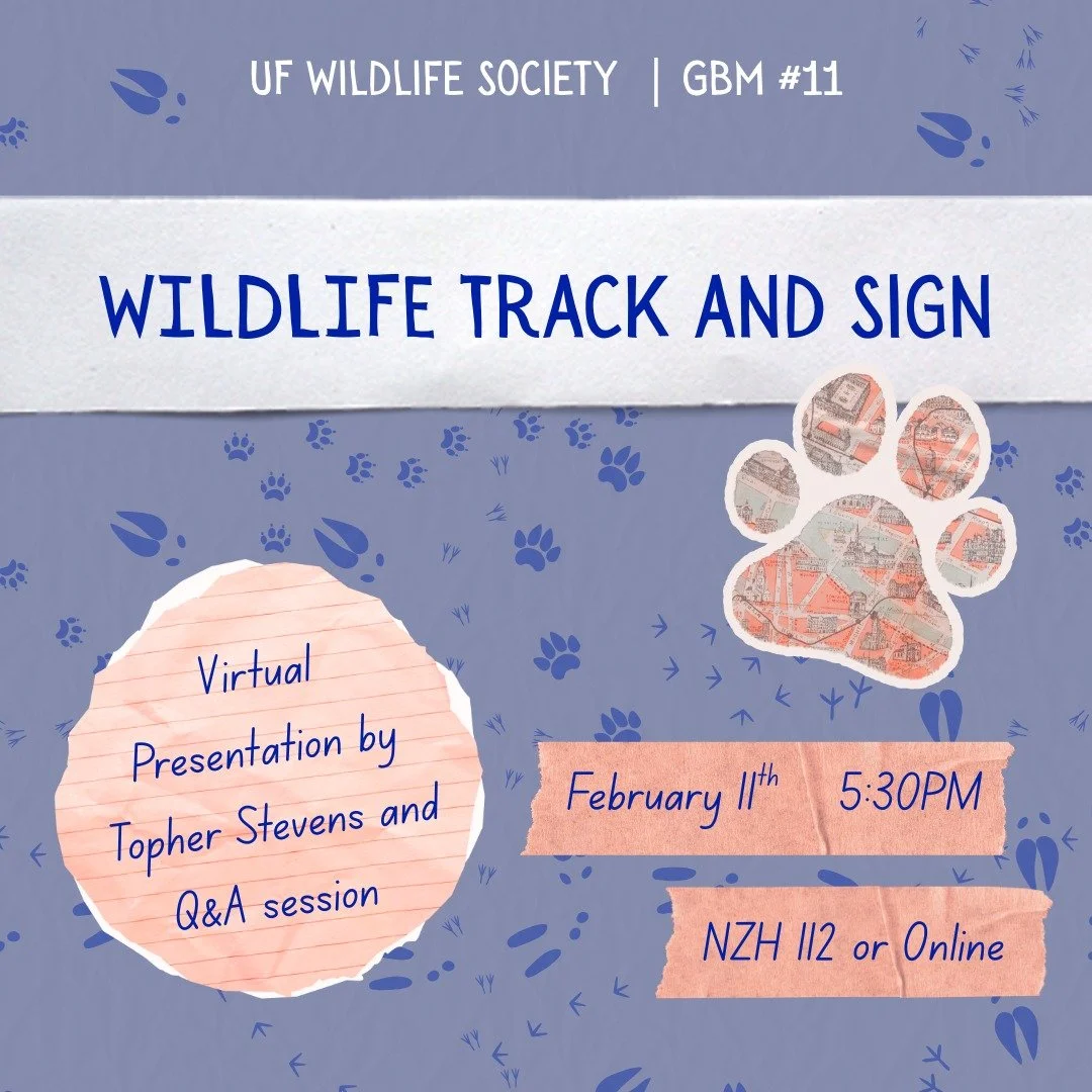 Announcing our next GBM! Learn from Topher Stevens about track and sign ID, gaits, and more. As usual, you can attend in person at Newins-Ziegler Hall 112 or via zoom. We'll send out a link a few minutes before the meeting on our GroupMe. (The link t