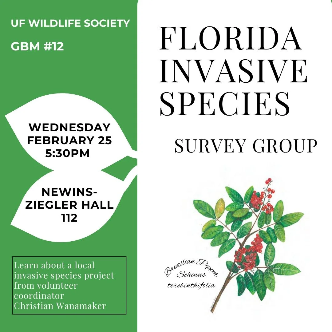 Looking for a local volunteering opportunity? Join us next Wednesday the 25th to learn about the Florida Invasive Species Survey Group from volunteer coordinator Christian Wanamaker. 

UF Wildlife Society GBM 12
February 25th, 5:30PM, Newins-Ziegler 