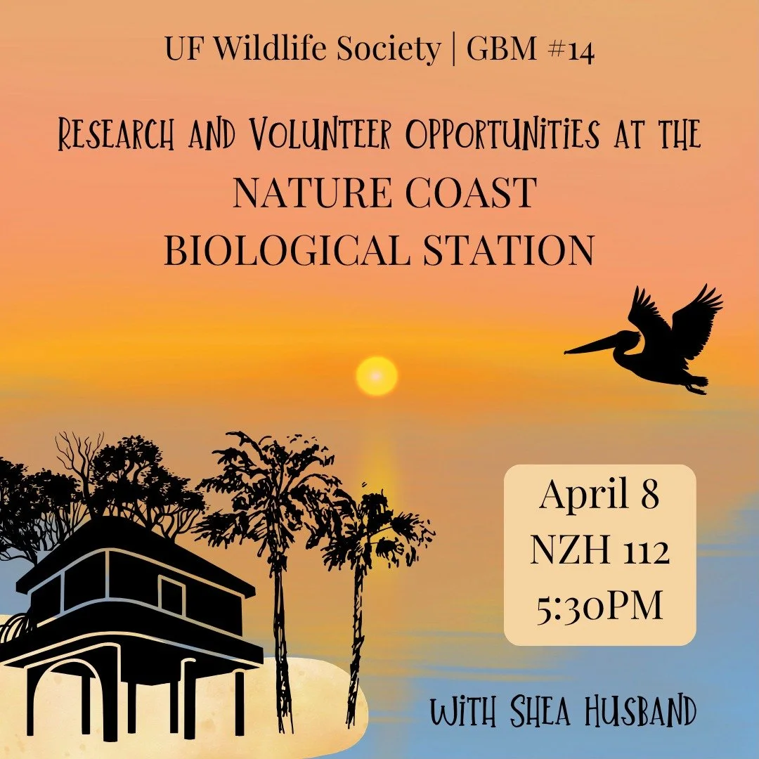 Our final guest speaker of the semester is presenting next Wednesday, April 8th! Shea Husband from the Nature Coast Biological Station will be presenting about research projects happening at the station and volunteer opportunities! 

Join us to learn