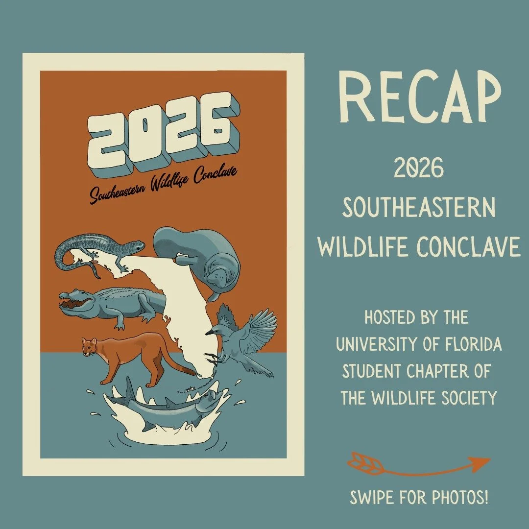 Conclave 2026 was an incredible event! Thank you to everyone who made it possible: our sponsors, volunteers, guest speakers, advisors, and everyone who helped us along the way. 

We welcomed 350 students to UF for three fun filled days! Our participa