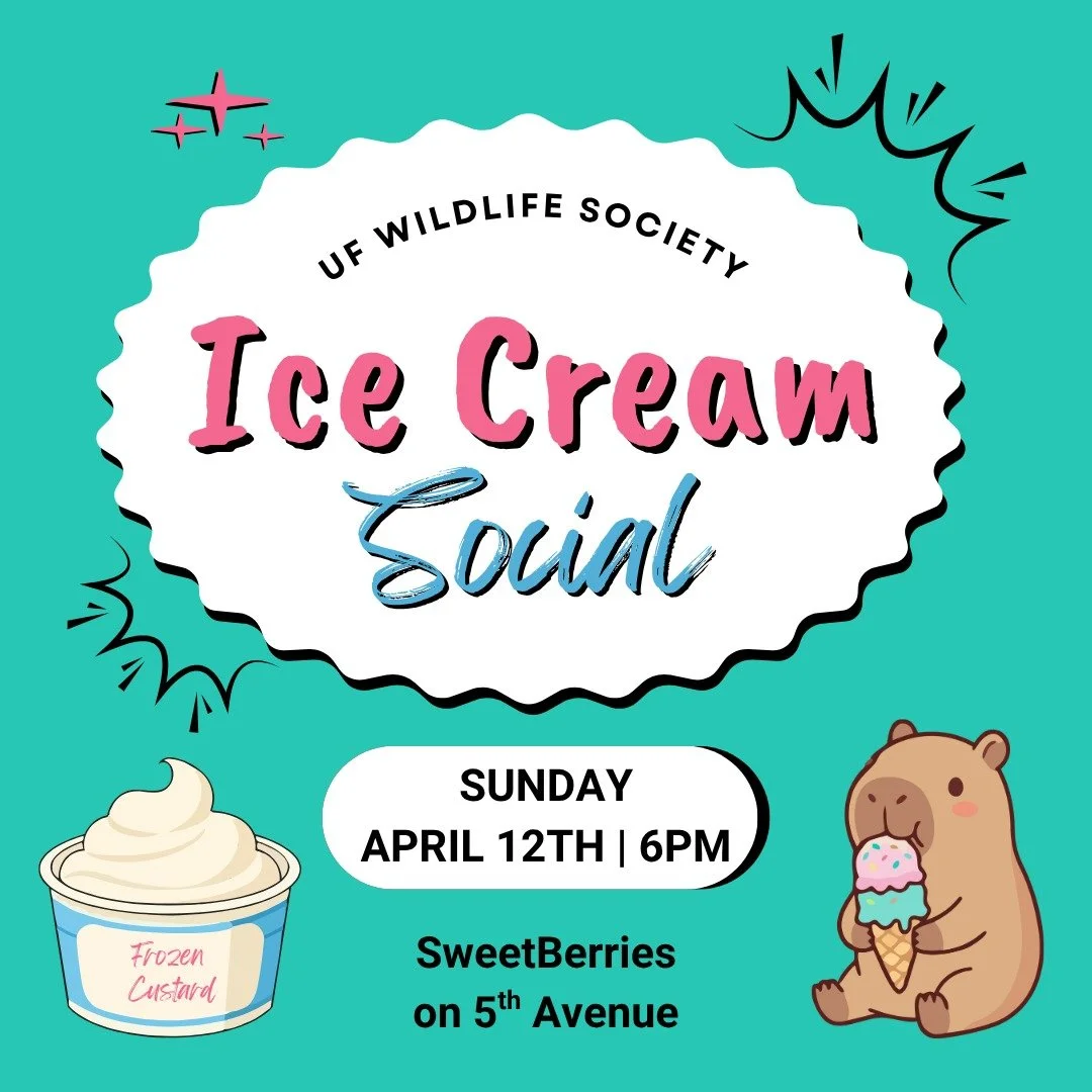 Join us next Sunday for ice cream and to chat with fellow wildlife enthusiasts! Our last social of the semester will be at SweetBerries on 5th Avenue. 

April 12th, 6PM
619 NW 5th Ave Gainesville, FL 32601

Stay tuned for officer applications and ele