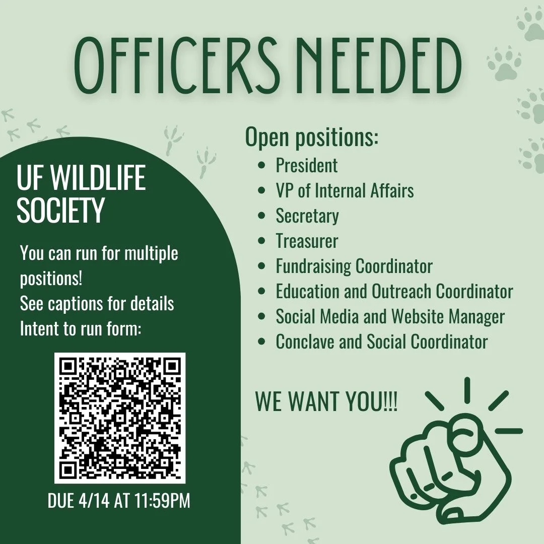 WE NEED OFFICERS FOR 2026-27! Please apply through our intent to run form! Scan the QR code, visit our Story Highlights, or go to our GroupMe. 

See the intent to run form for details and a link to a document with descriptions of what each officer do