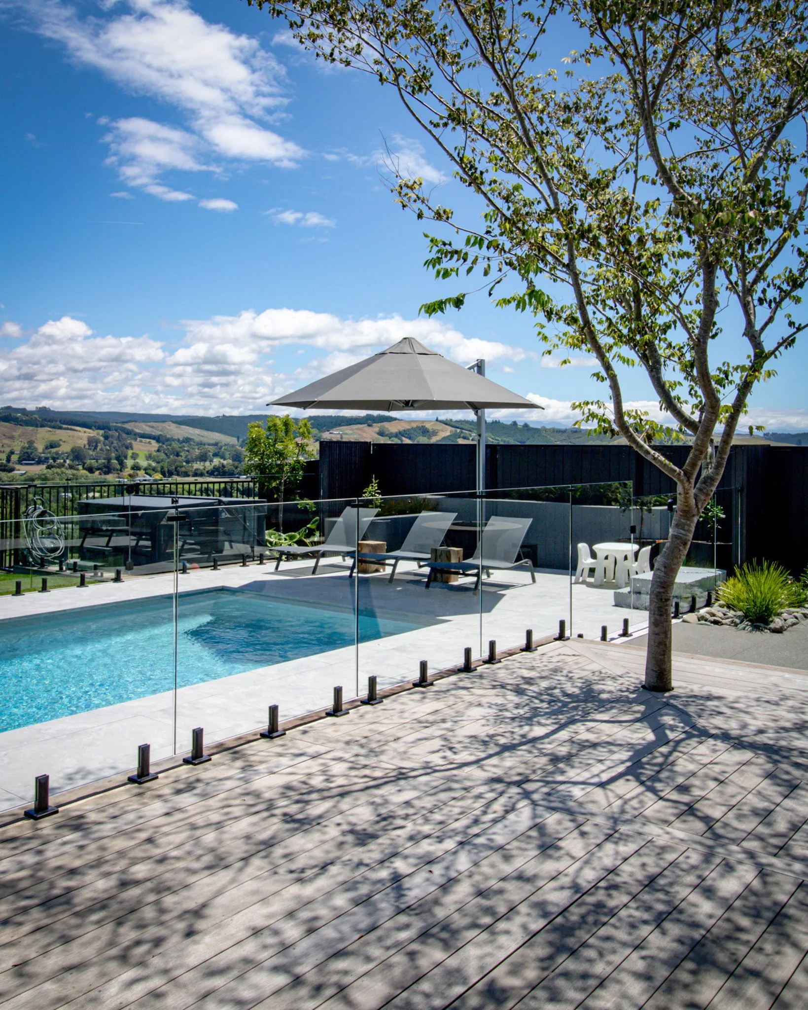 Planted as a focal point, this tree will offer shade to the pool and deck areas, helping create comfortable entertaining spaces for the family. 🌳