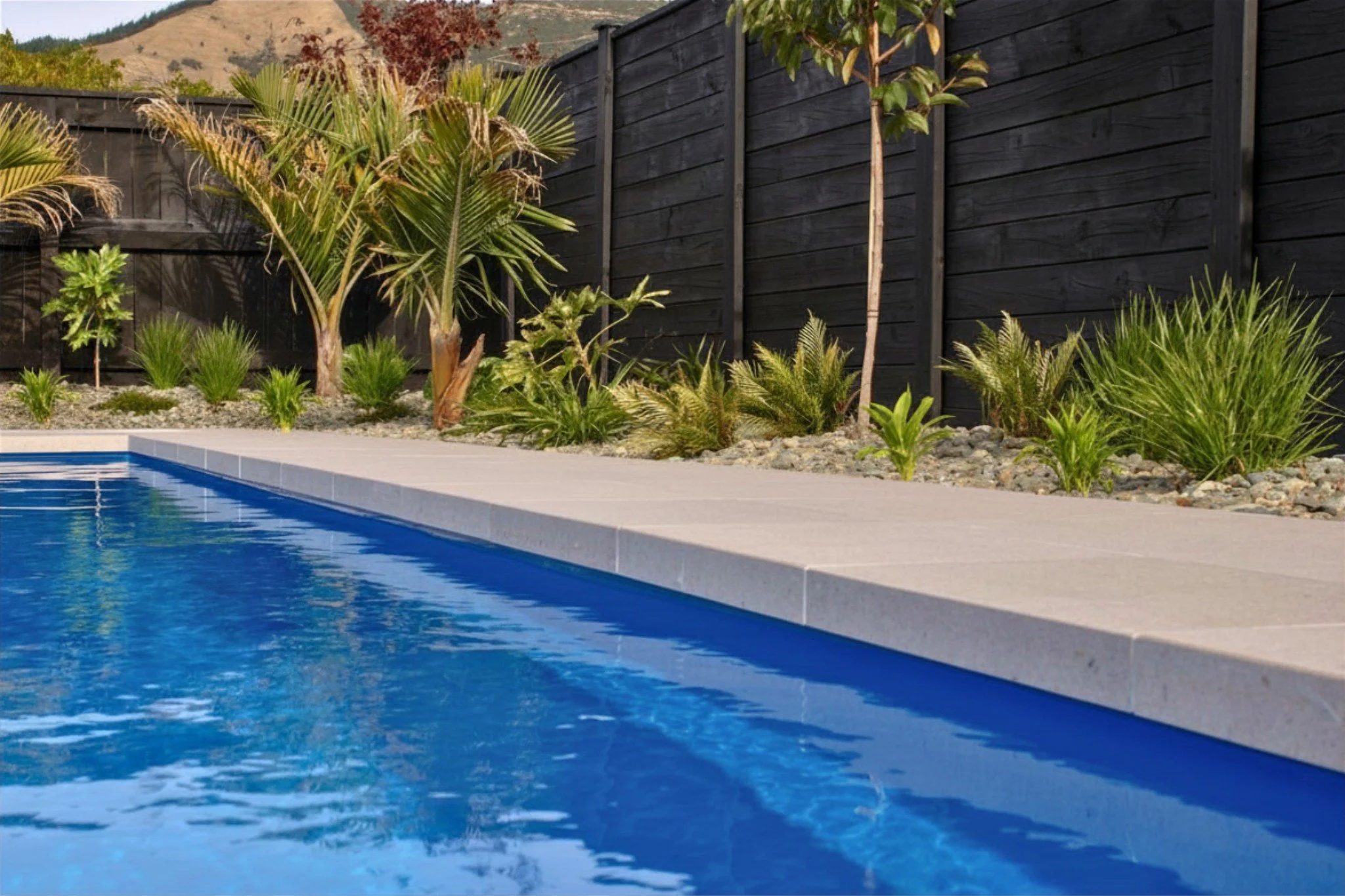 We use plants to soften the pool area providing a private and relaxed atmosphere. It&rsquo;s a simple way to soften the hard lines of the coping pavers and fence.

#nvp #nvpools #newvisionlandscapes #nvl #landscapearchitecture #landscapedesign #nvdes